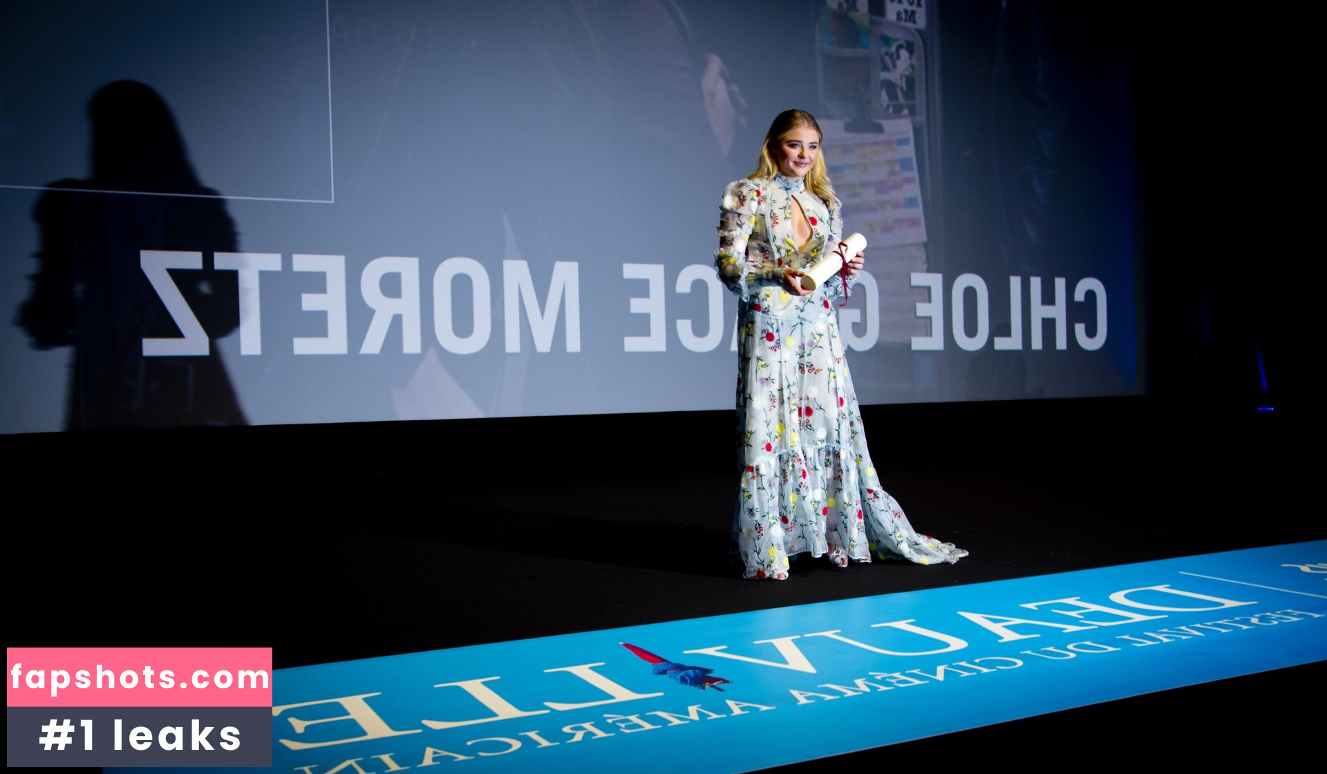 Chloë Grace Moretz gallery photo #1409