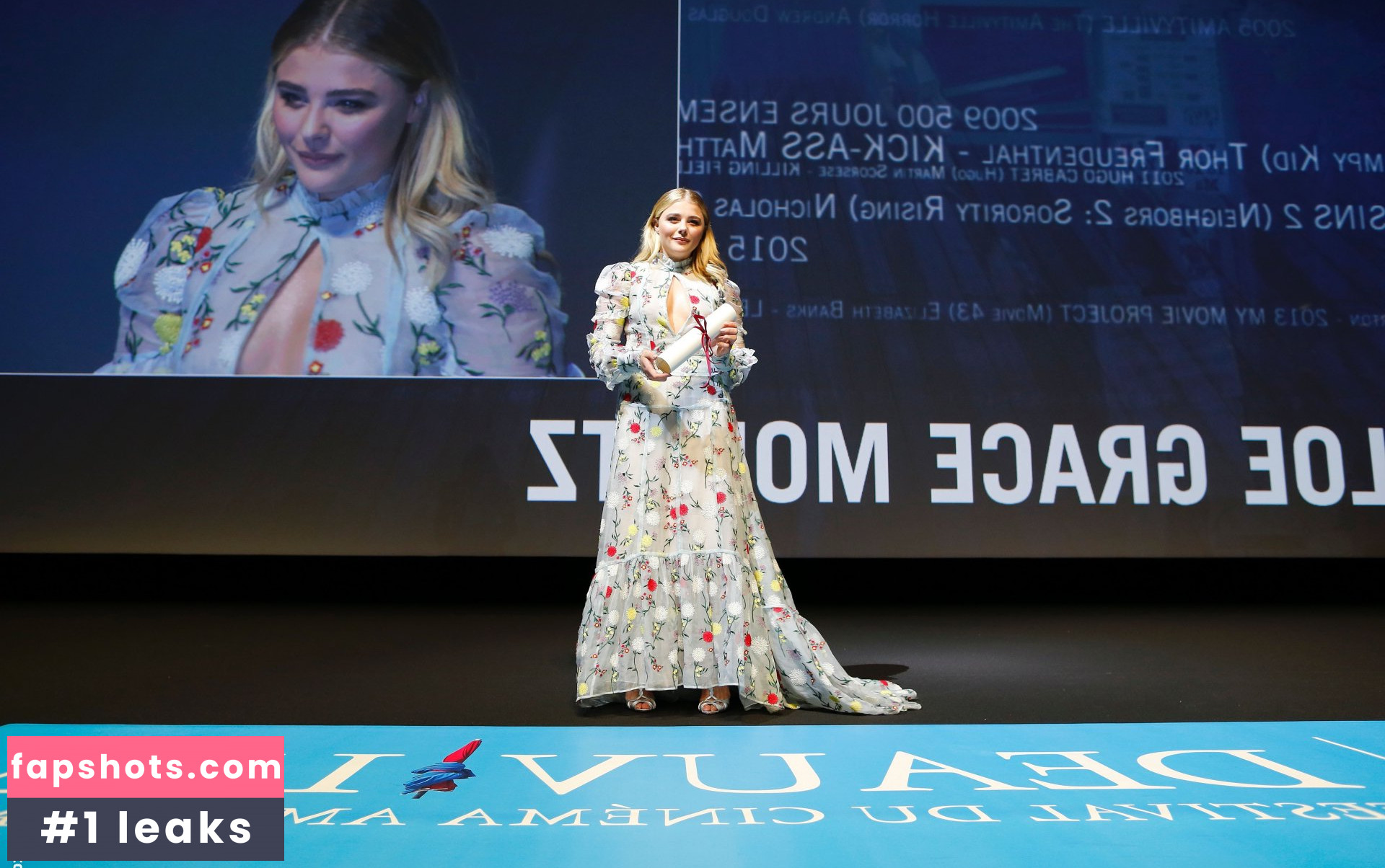 Chloë Grace Moretz gallery photo #1446