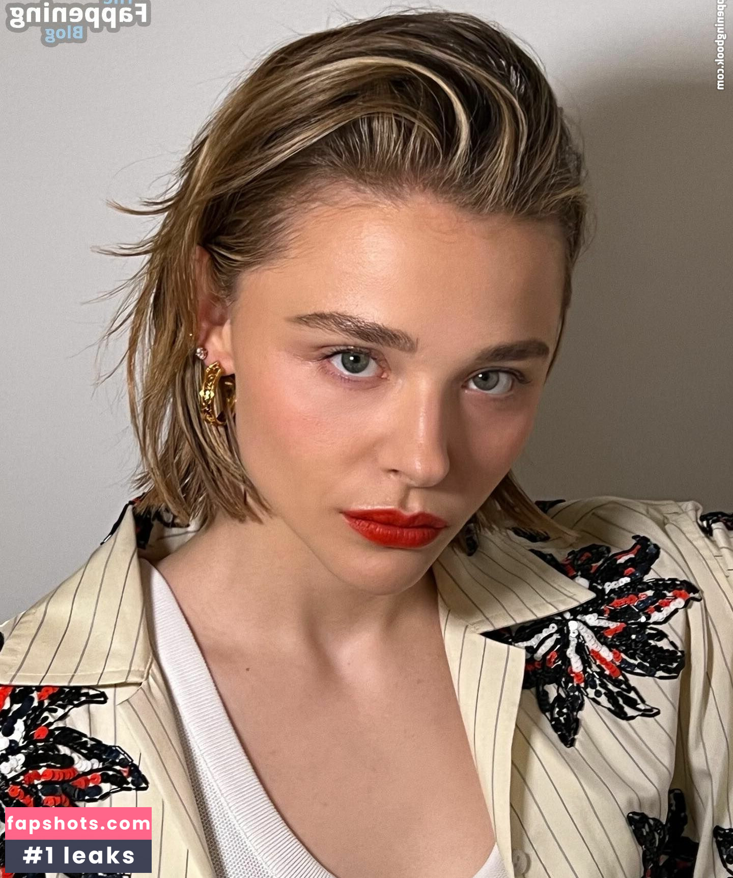 Chloë Grace Moretz gallery photo #263