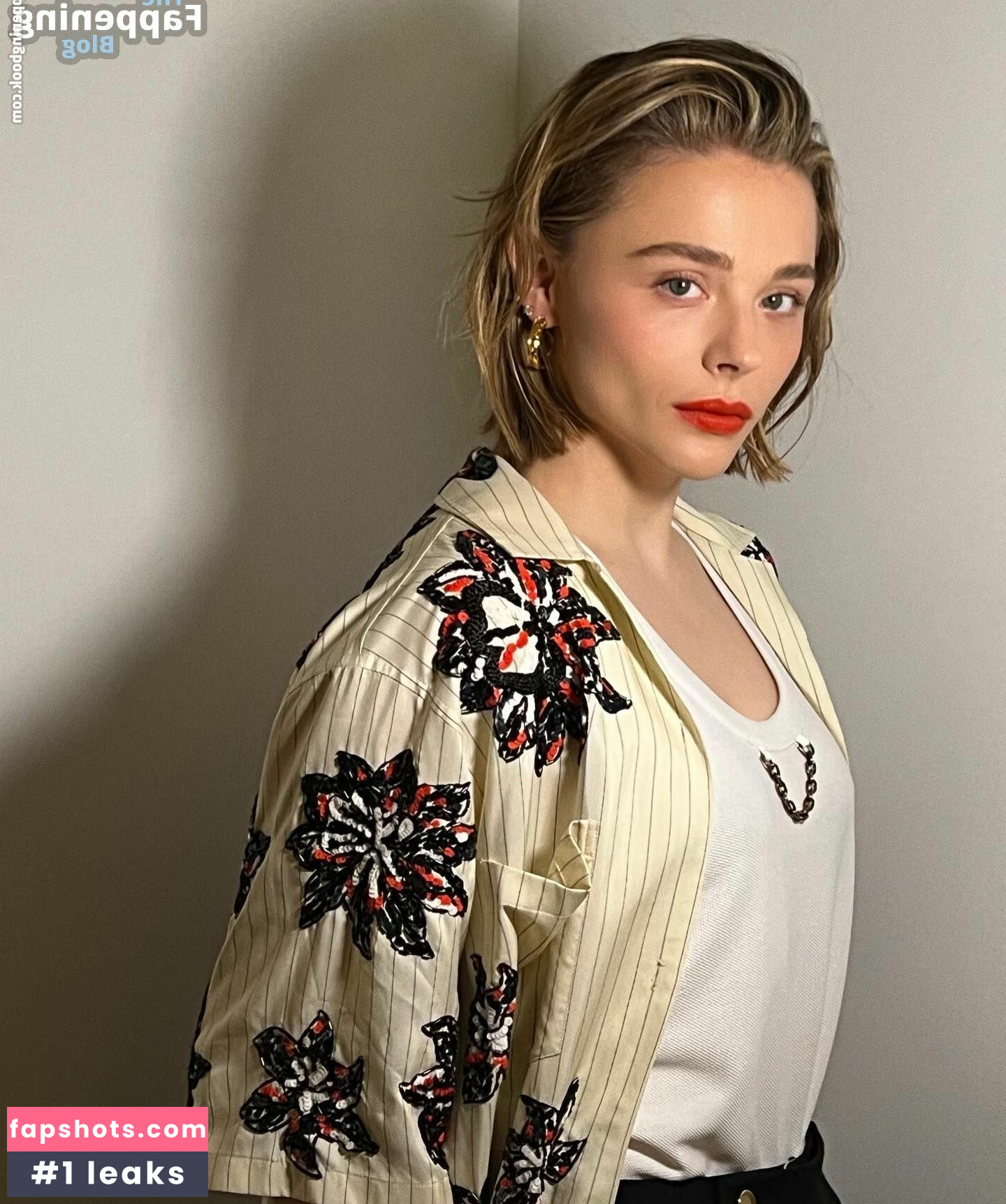 Chloë Grace Moretz gallery photo #264