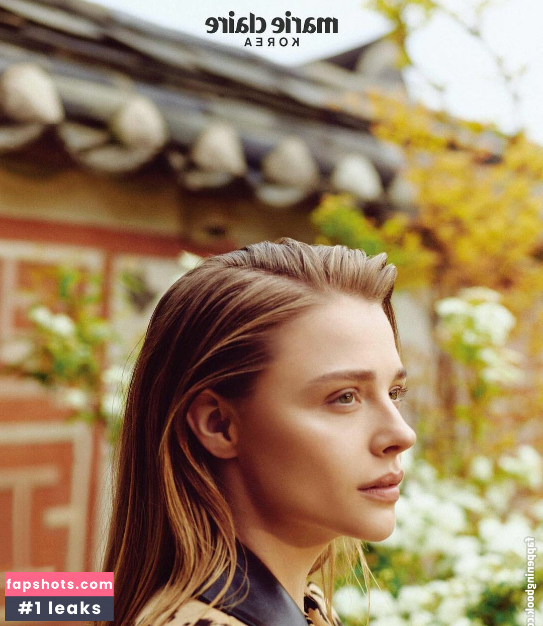 Chloë Grace Moretz gallery photo #445