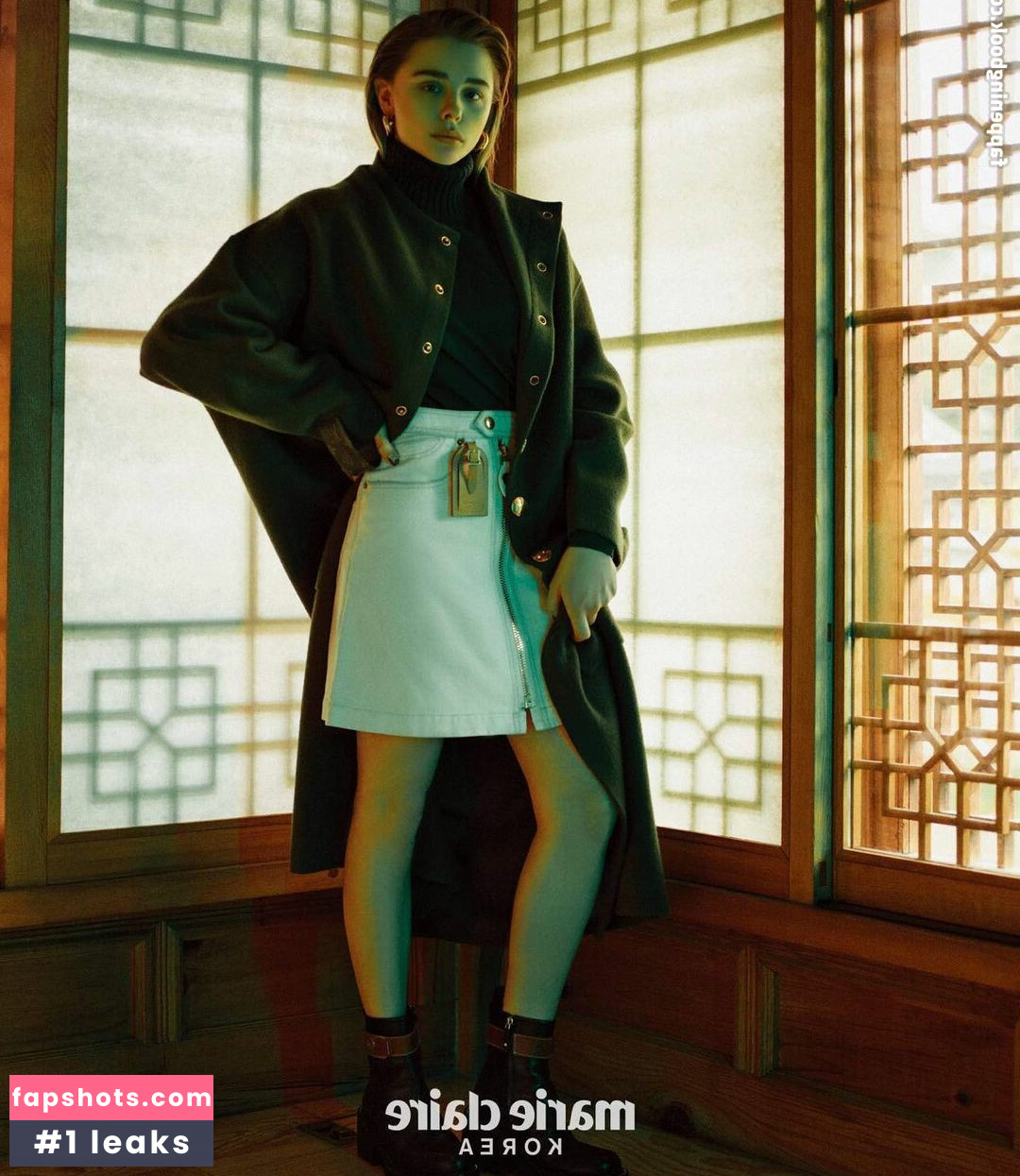 Chloë Grace Moretz gallery photo #446