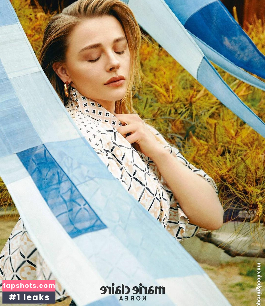 Chloë Grace Moretz gallery photo #447