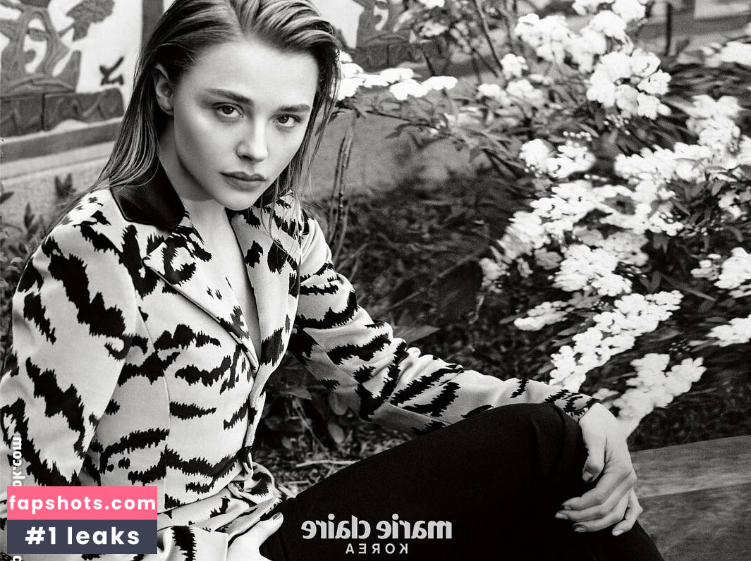 Chloë Grace Moretz gallery photo #452