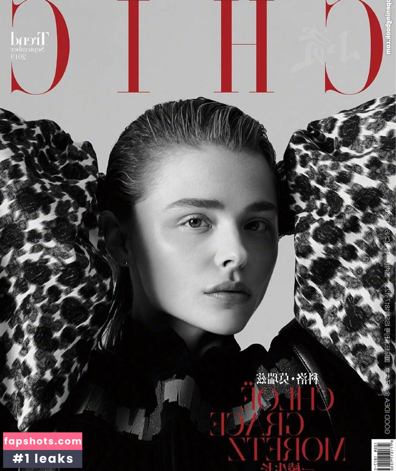 Chloë Grace Moretz gallery photo #503