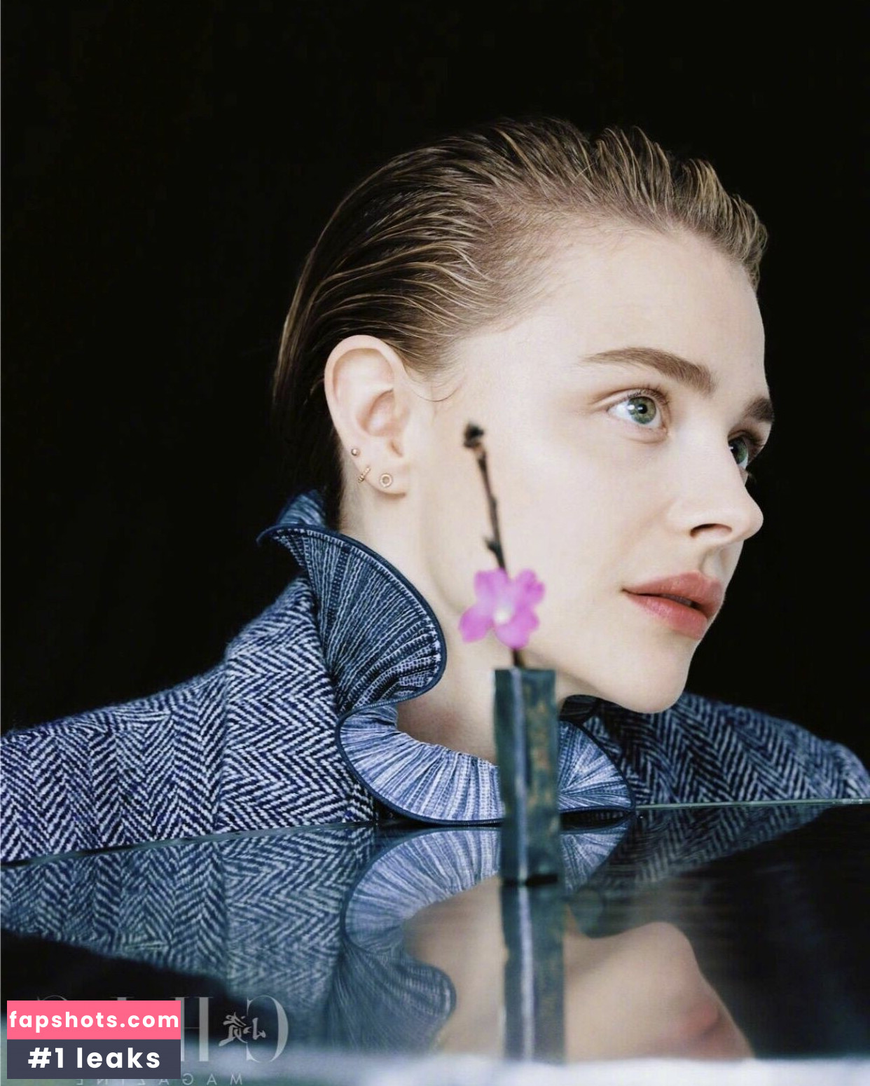 Chloë Grace Moretz gallery photo #504