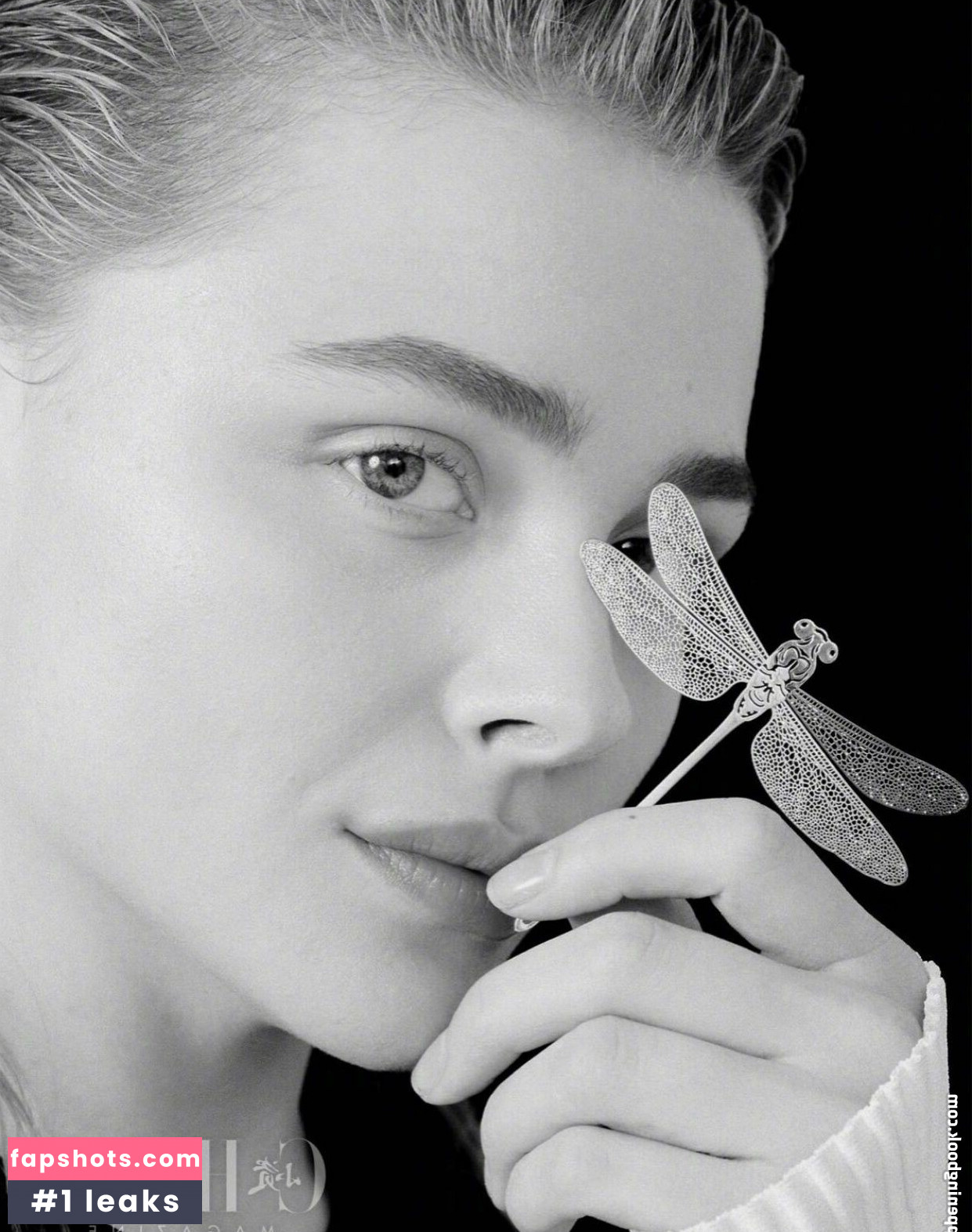 Chloë Grace Moretz gallery photo #508