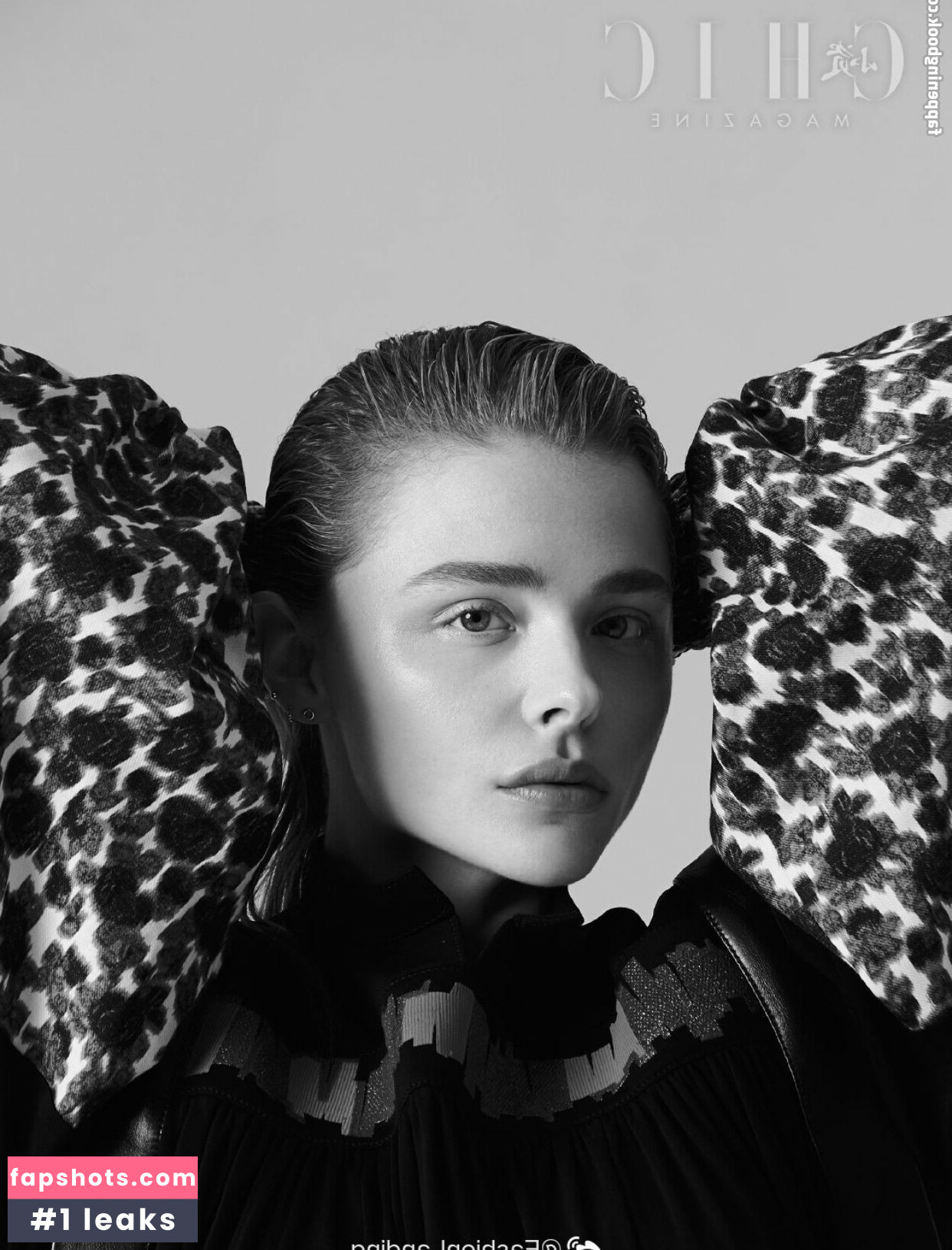 Chloë Grace Moretz gallery photo #509