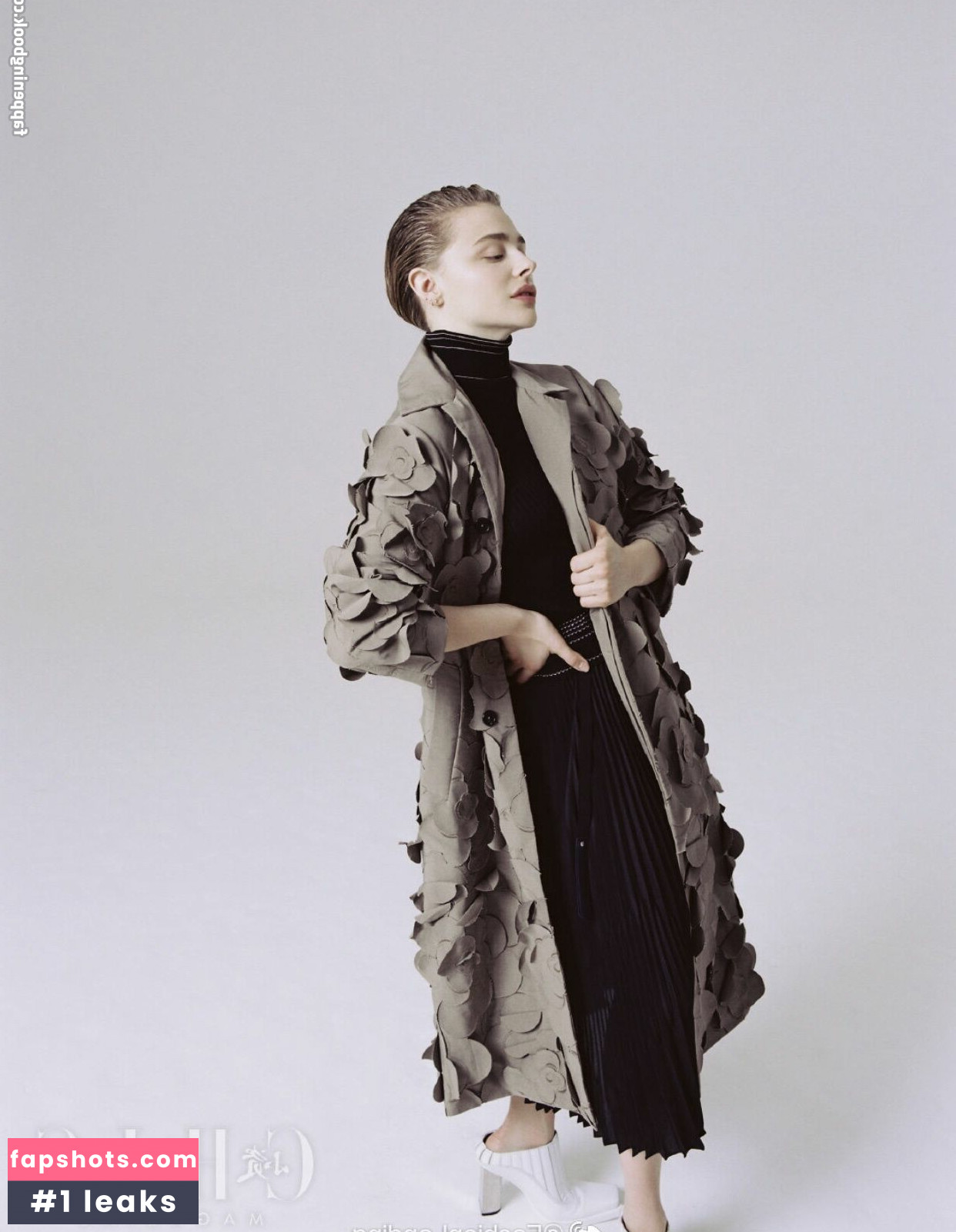 Chloë Grace Moretz gallery photo #513