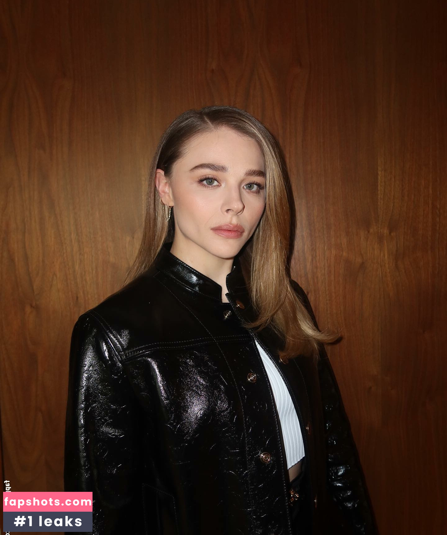 Chloë Grace Moretz gallery photo #626