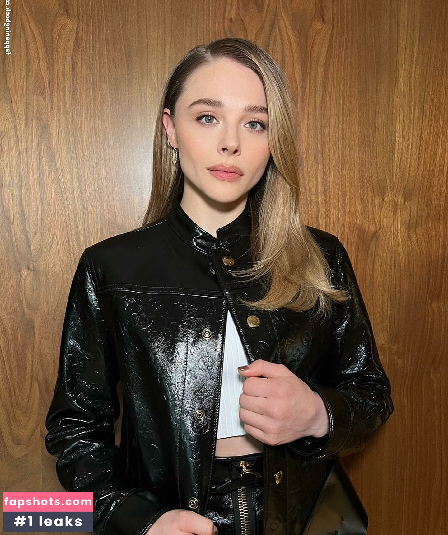 Chloë Grace Moretz gallery photo #627