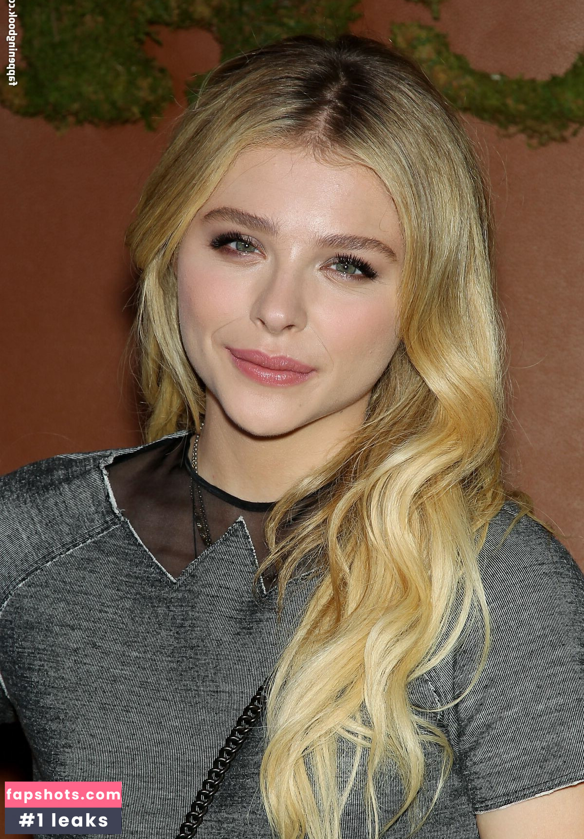 Chloë Grace Moretz gallery photo #680