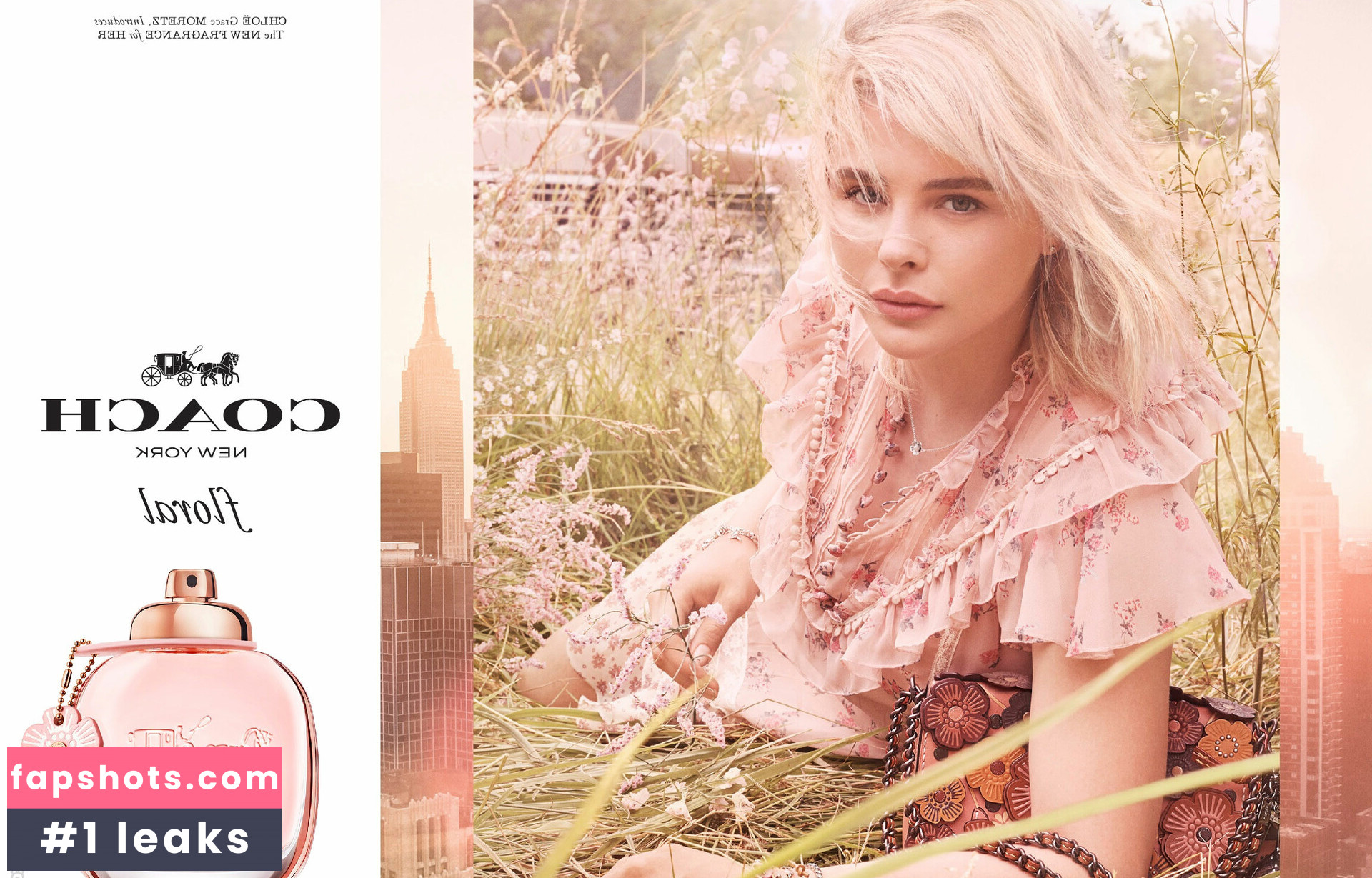 Chloë Grace Moretz gallery photo #736