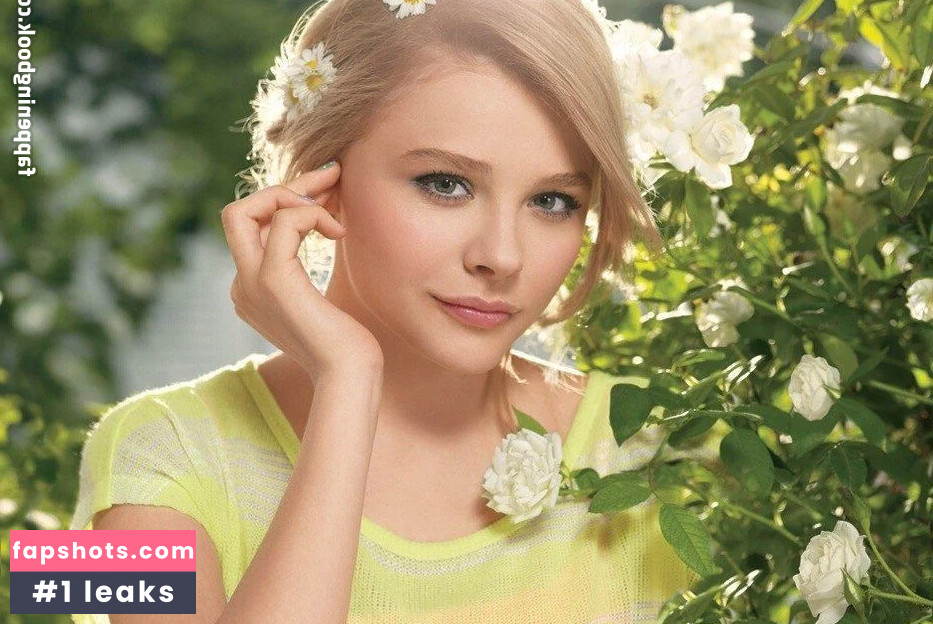 Chloë Grace Moretz gallery photo #740
