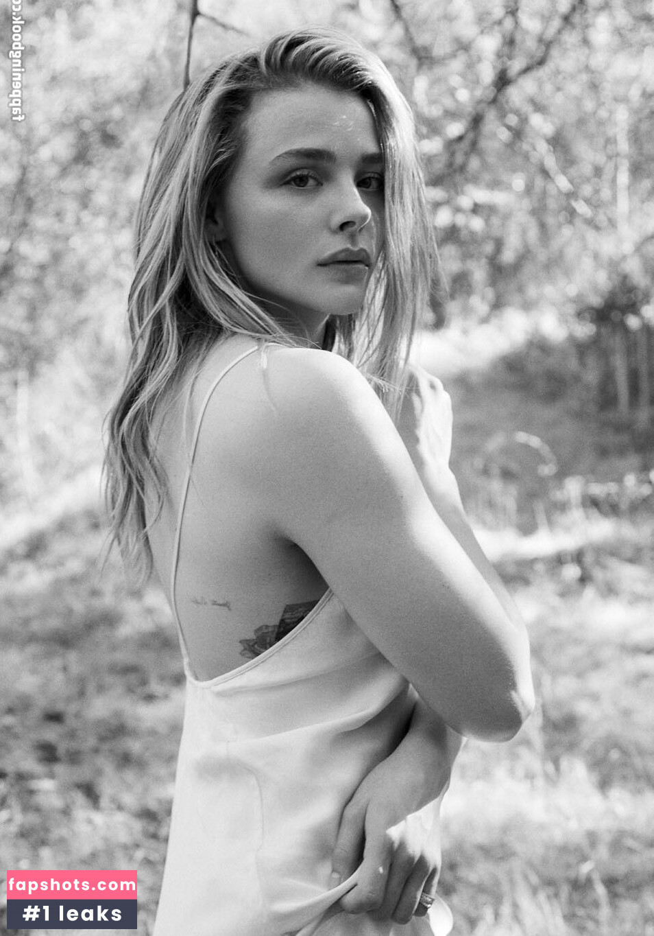 Chloë Grace Moretz gallery photo #804