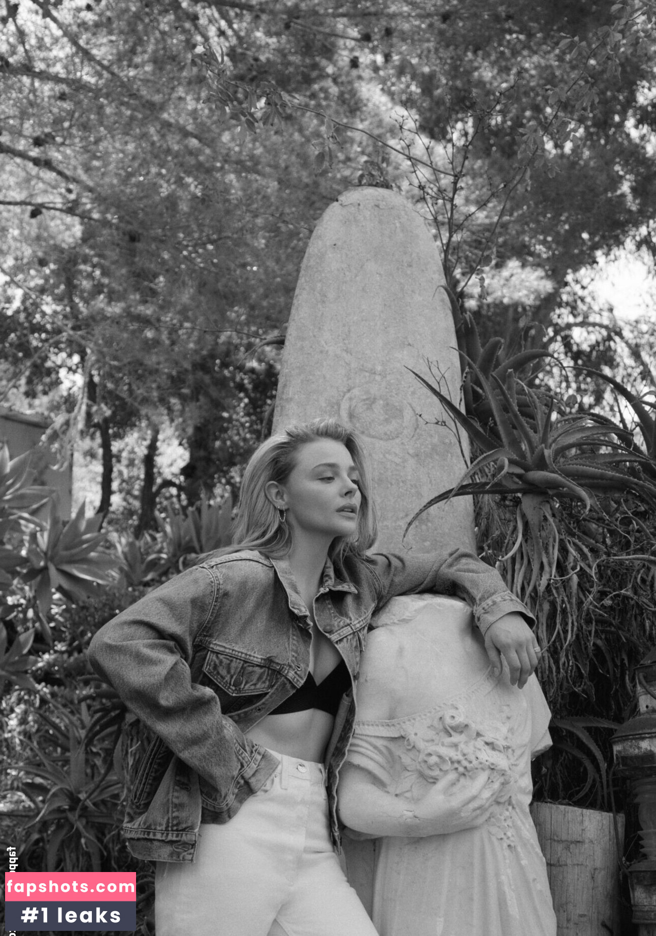 Chloë Grace Moretz gallery photo #825