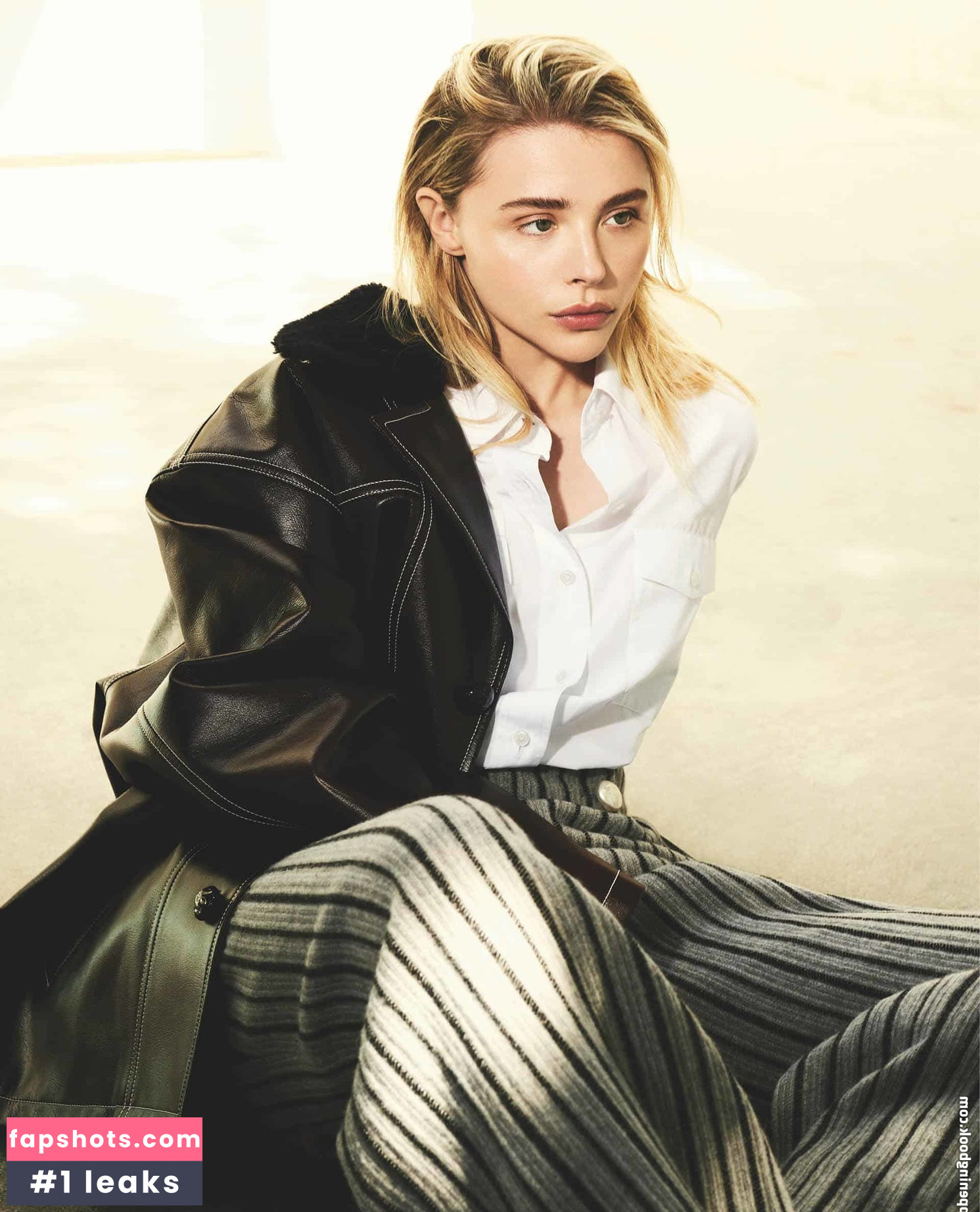 Chloë Grace Moretz gallery photo #909