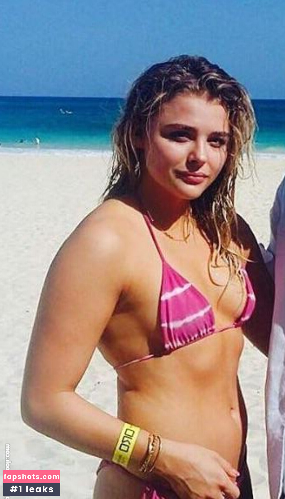 Chloë Grace Moretz gallery photo #917