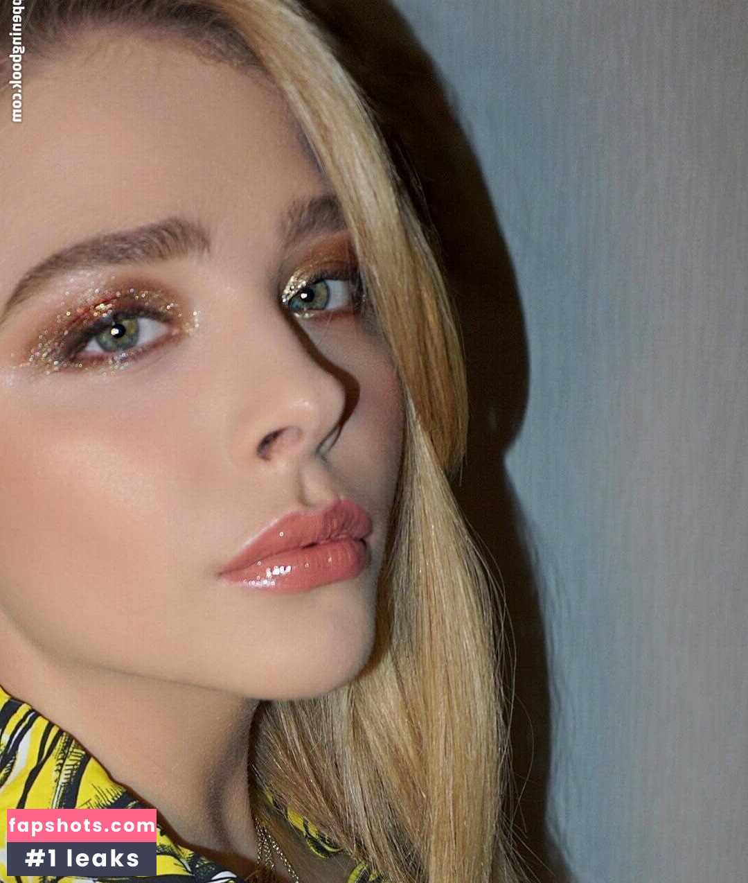 Chloë Grace Moretz gallery photo #989