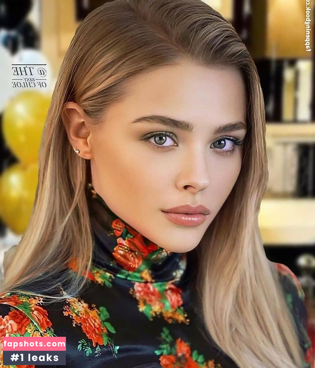 Chloë Grace Moretz gallery photo #993