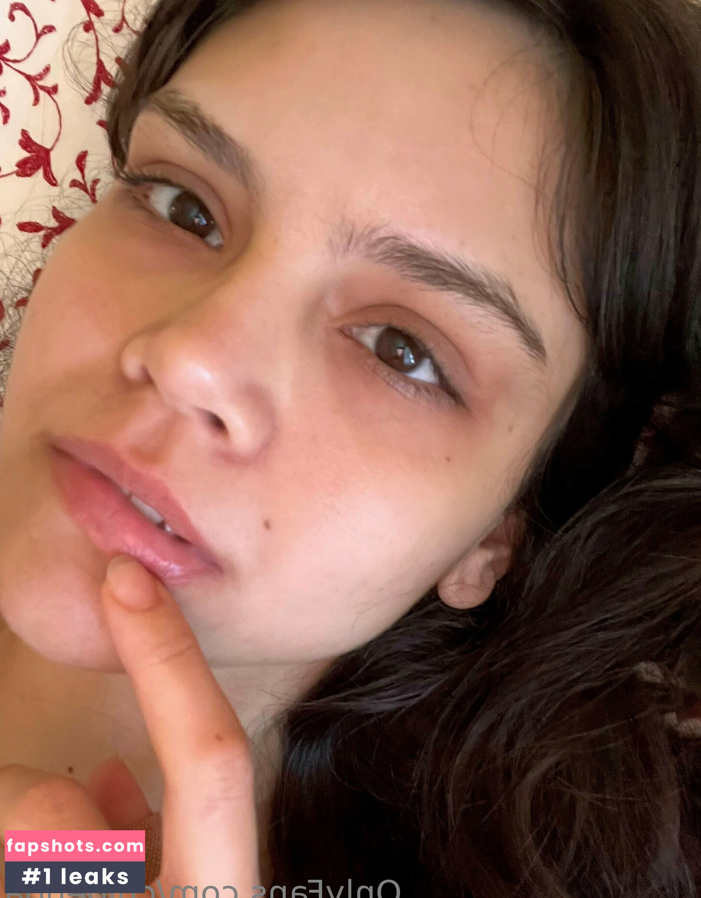 Chloenoa gallery photo #50