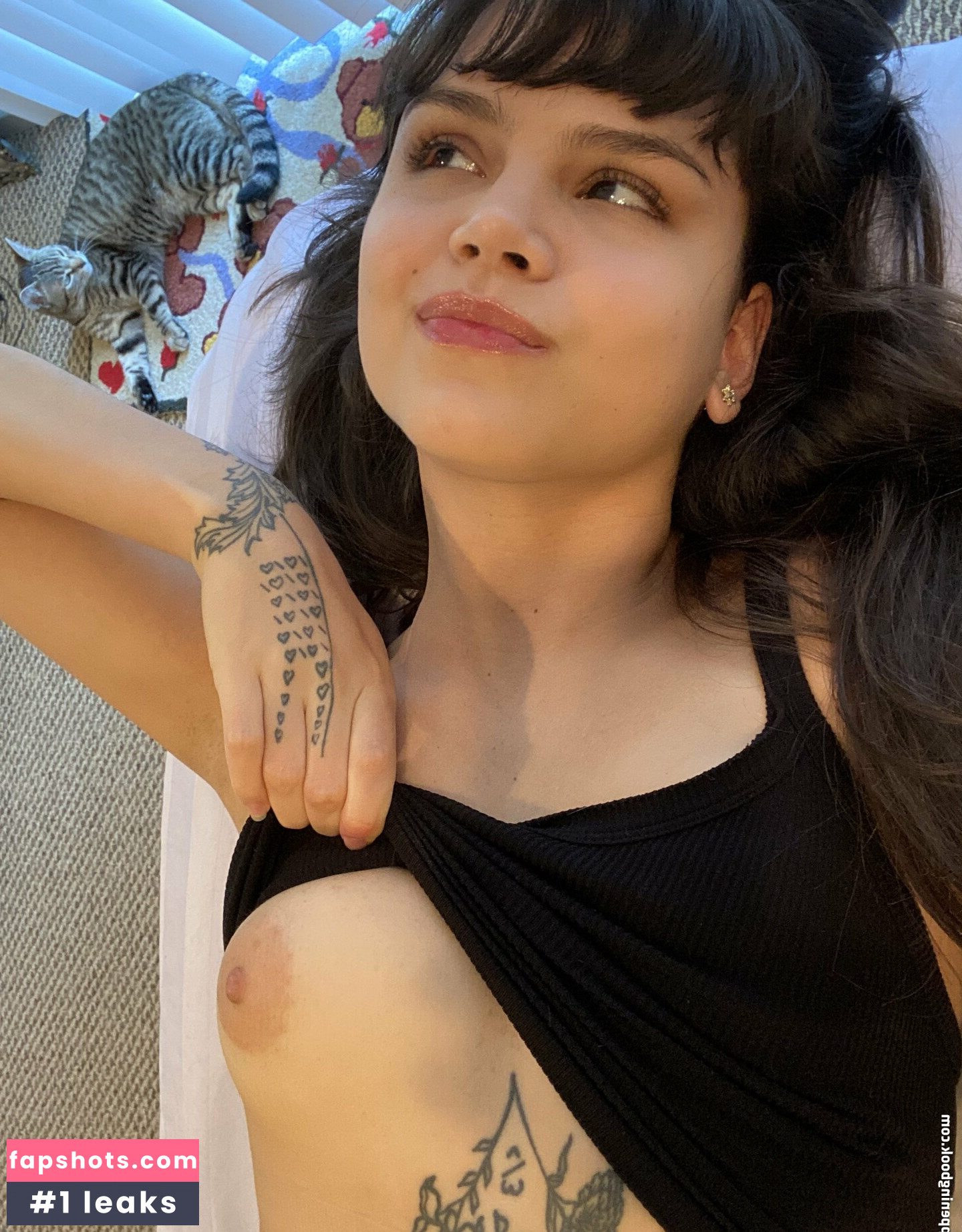 Chloenoa gallery photo #74