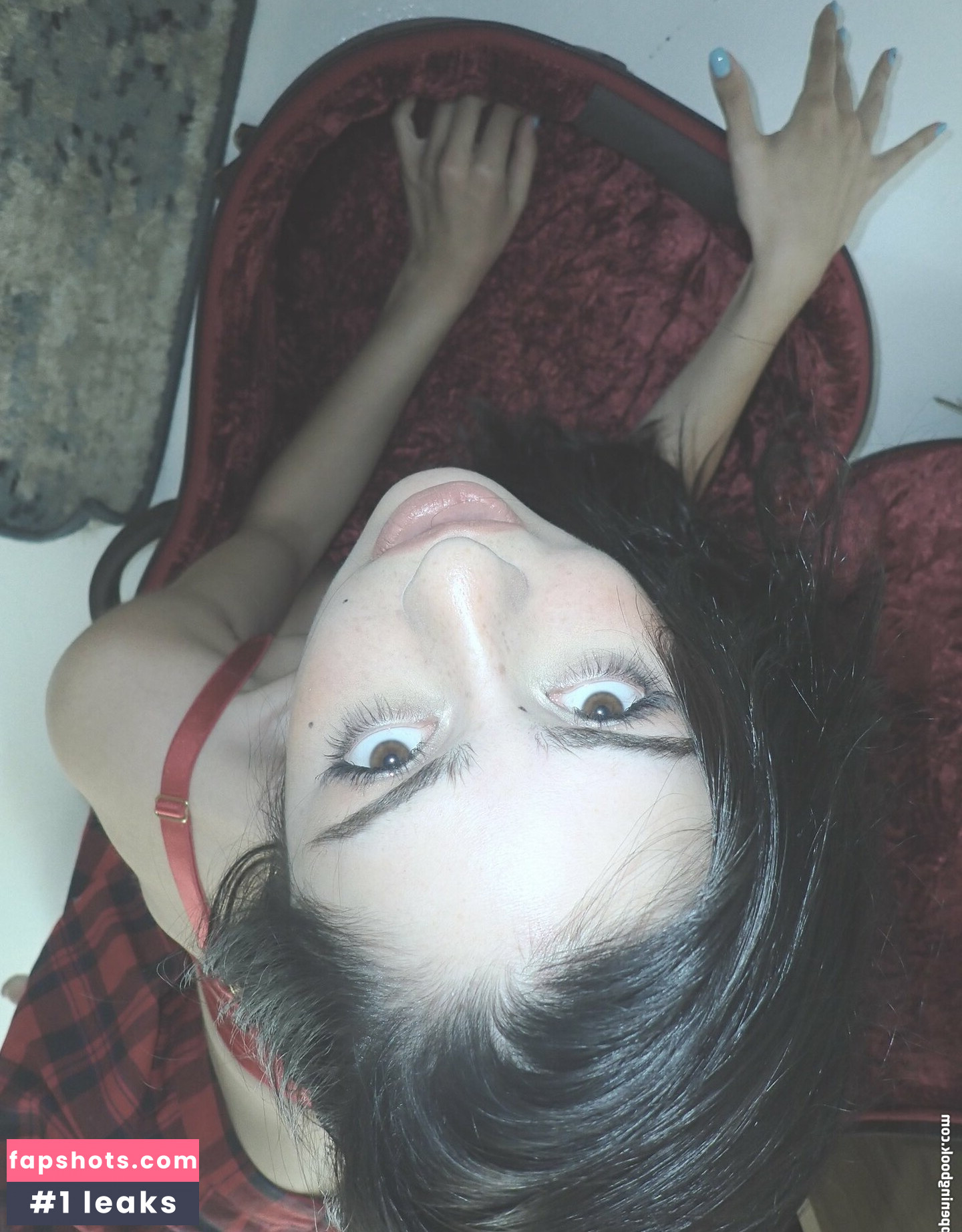 Chovvder gallery photo #26