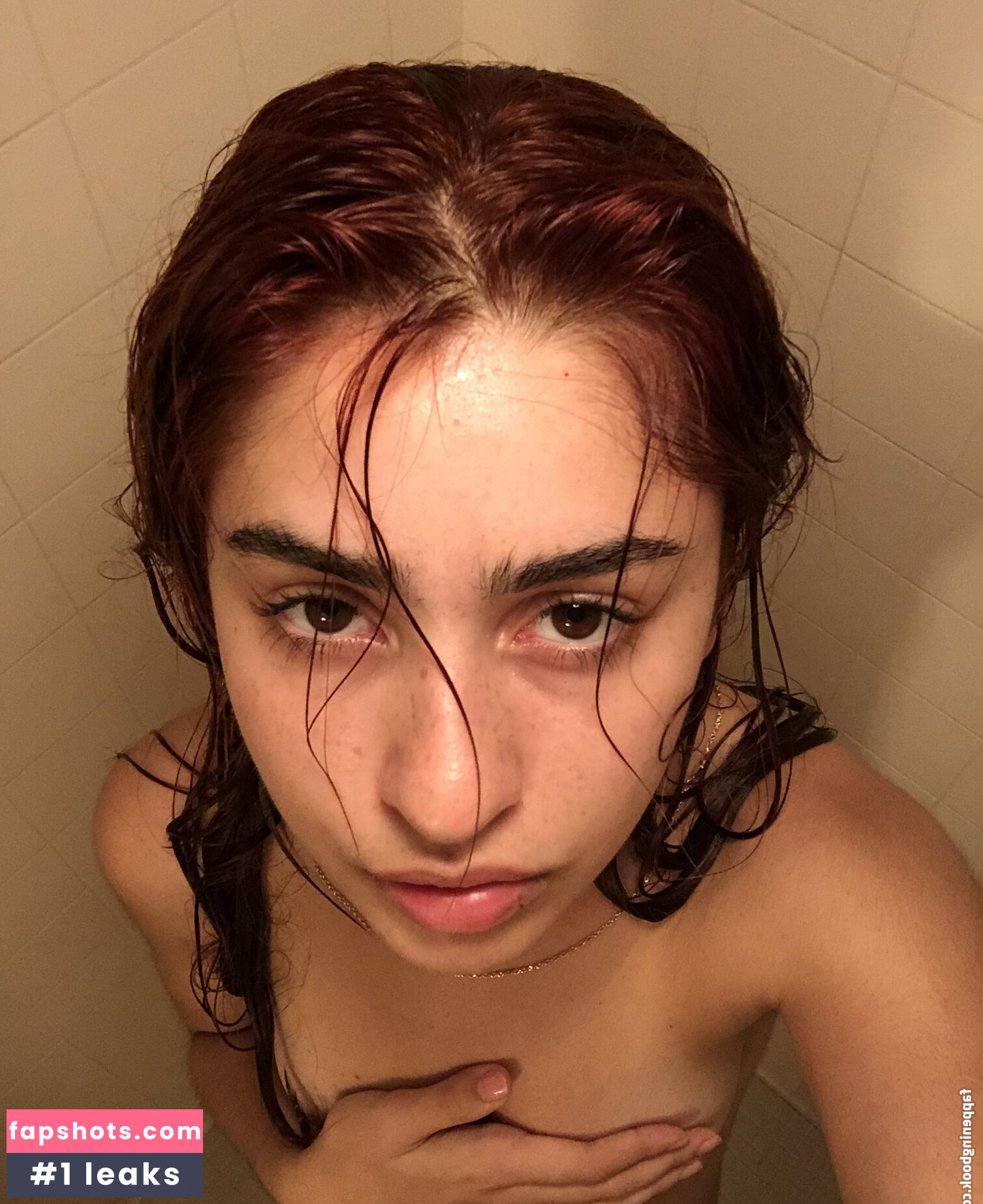 Chovvder gallery photo #34