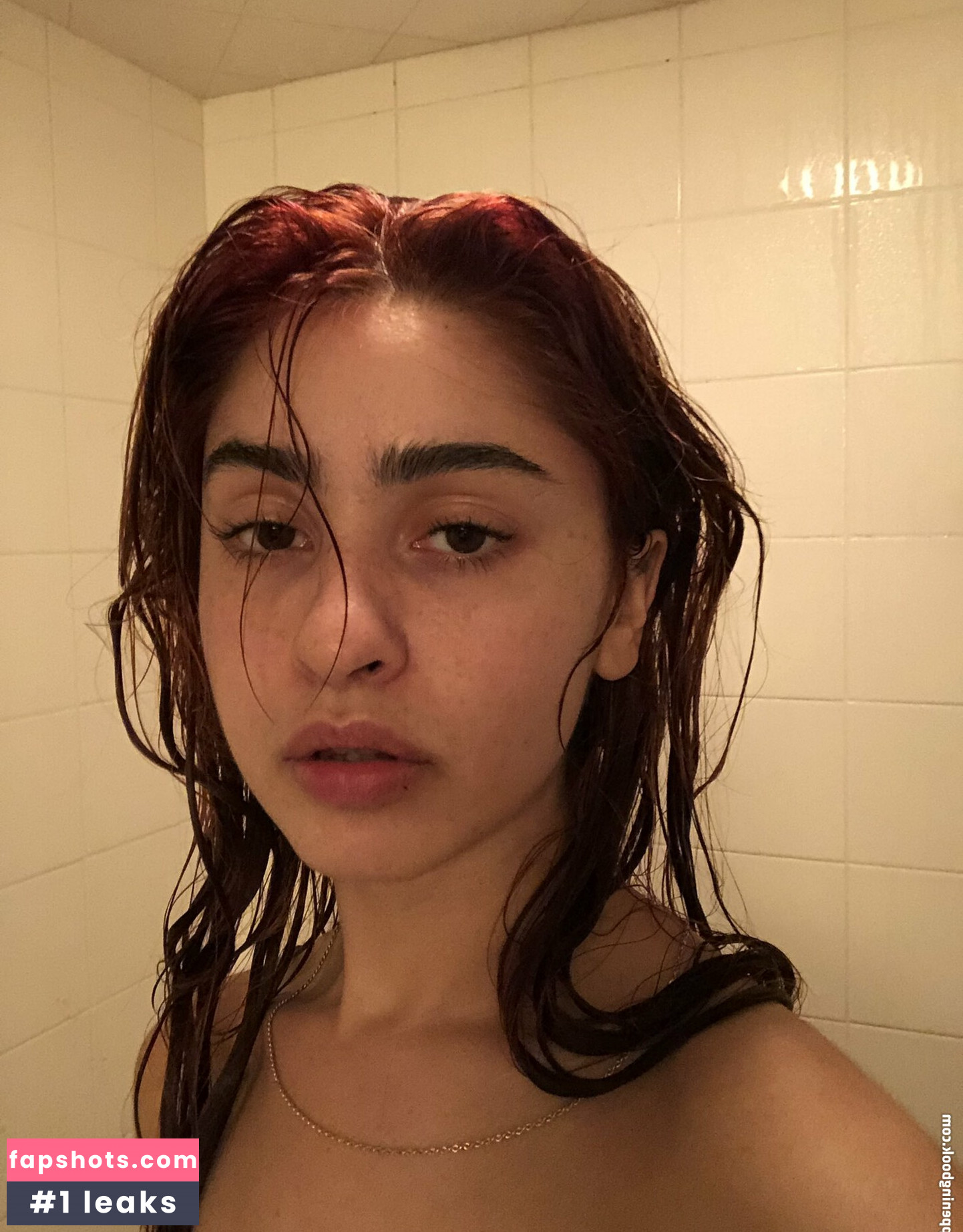 Chovvder gallery photo #37