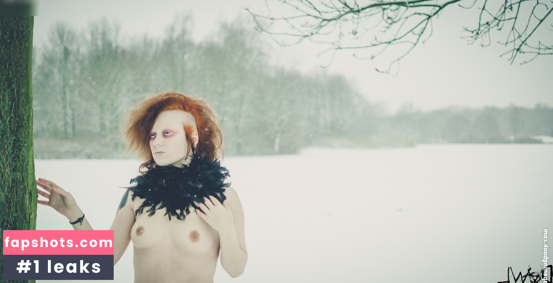 Chris Kölln gallery photo #14