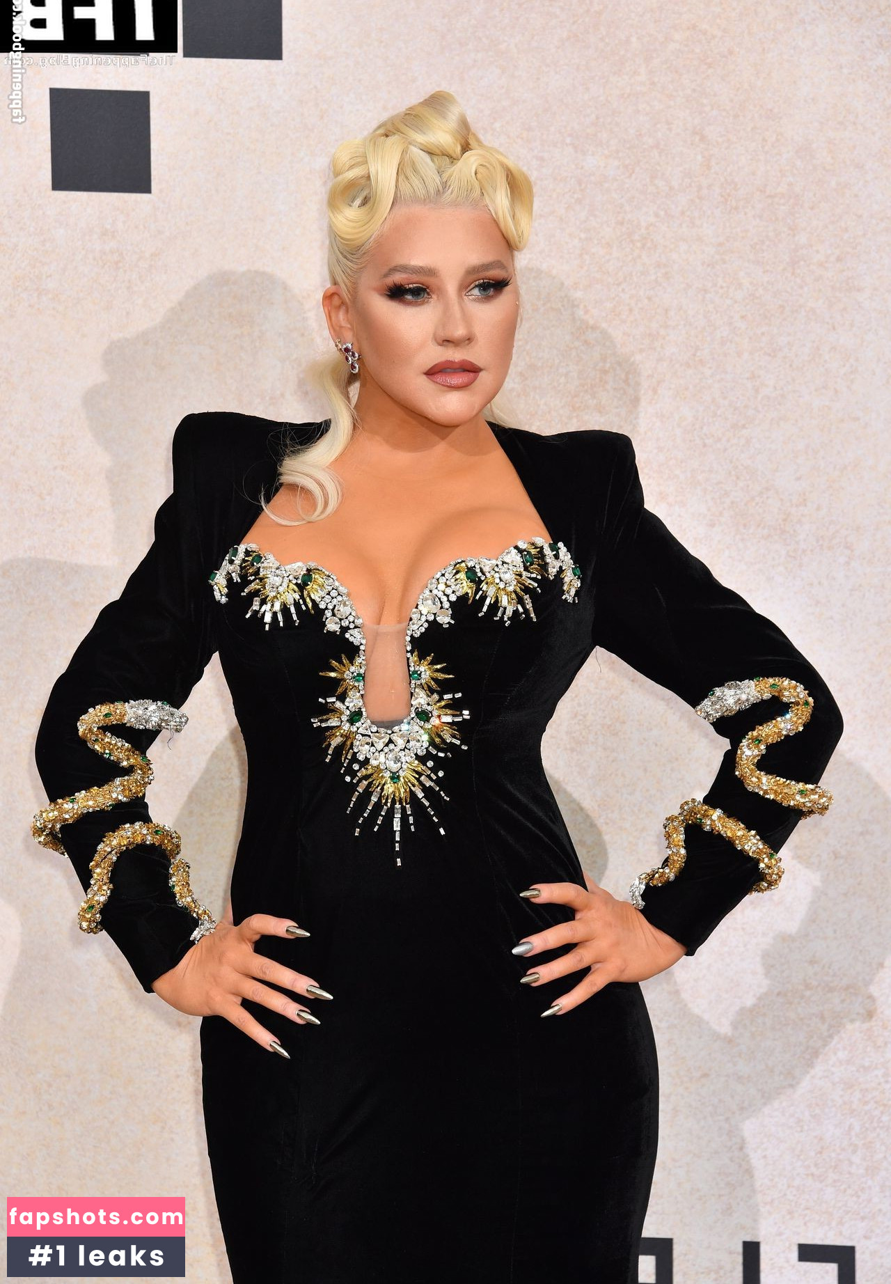 Christina Aguilera Nude Leaks OnlyFans Photos #1304 - LeakJerk