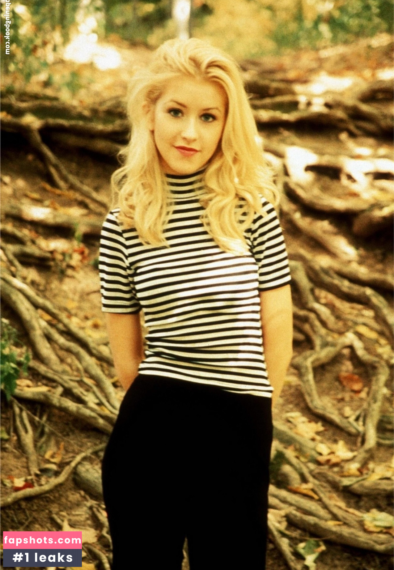 Christina Aguilera Nude Leaks OnlyFans Photos #1473 - LeakJerk