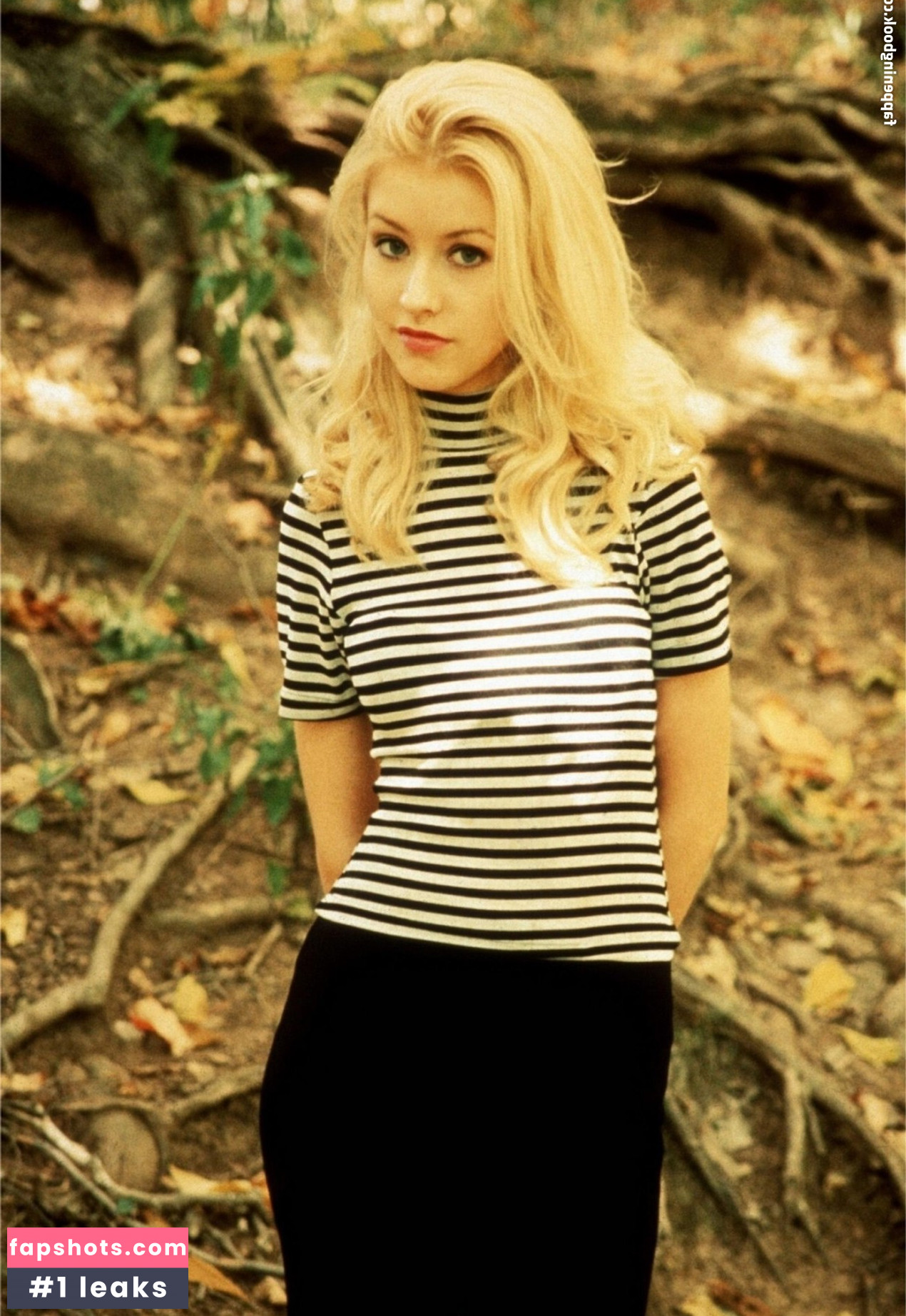 Christina Aguilera Nude Leaks OnlyFans Photos #1477 - LeakJerk