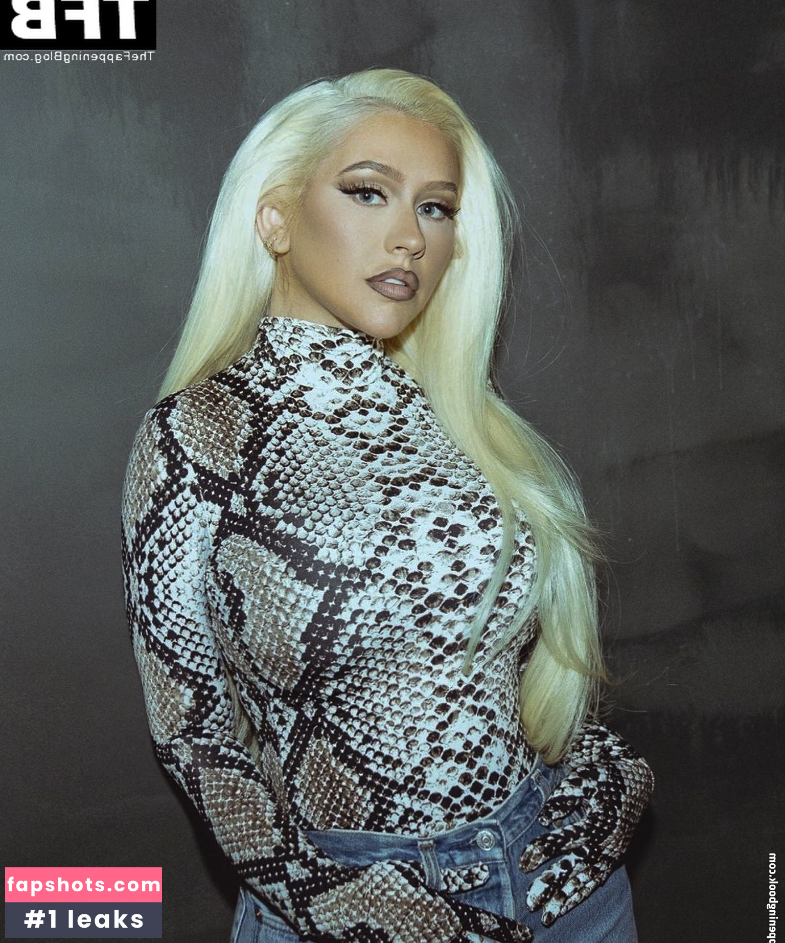 Christina Aguilera Nude Leaks OnlyFans Photos #1600 - LeakJerk