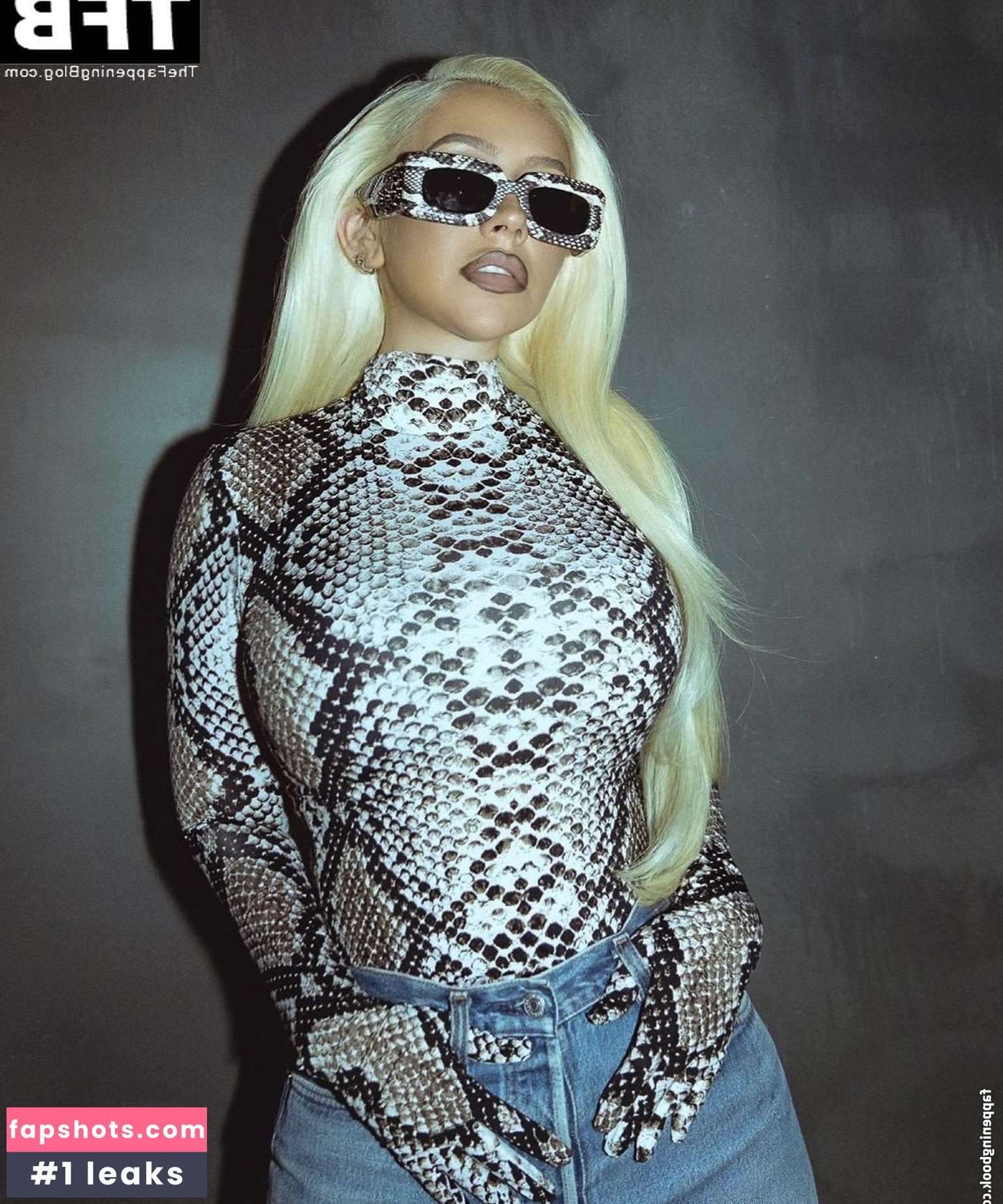 Christina Aguilera Nude Leaks OnlyFans Photos #1602 - LeakJerk