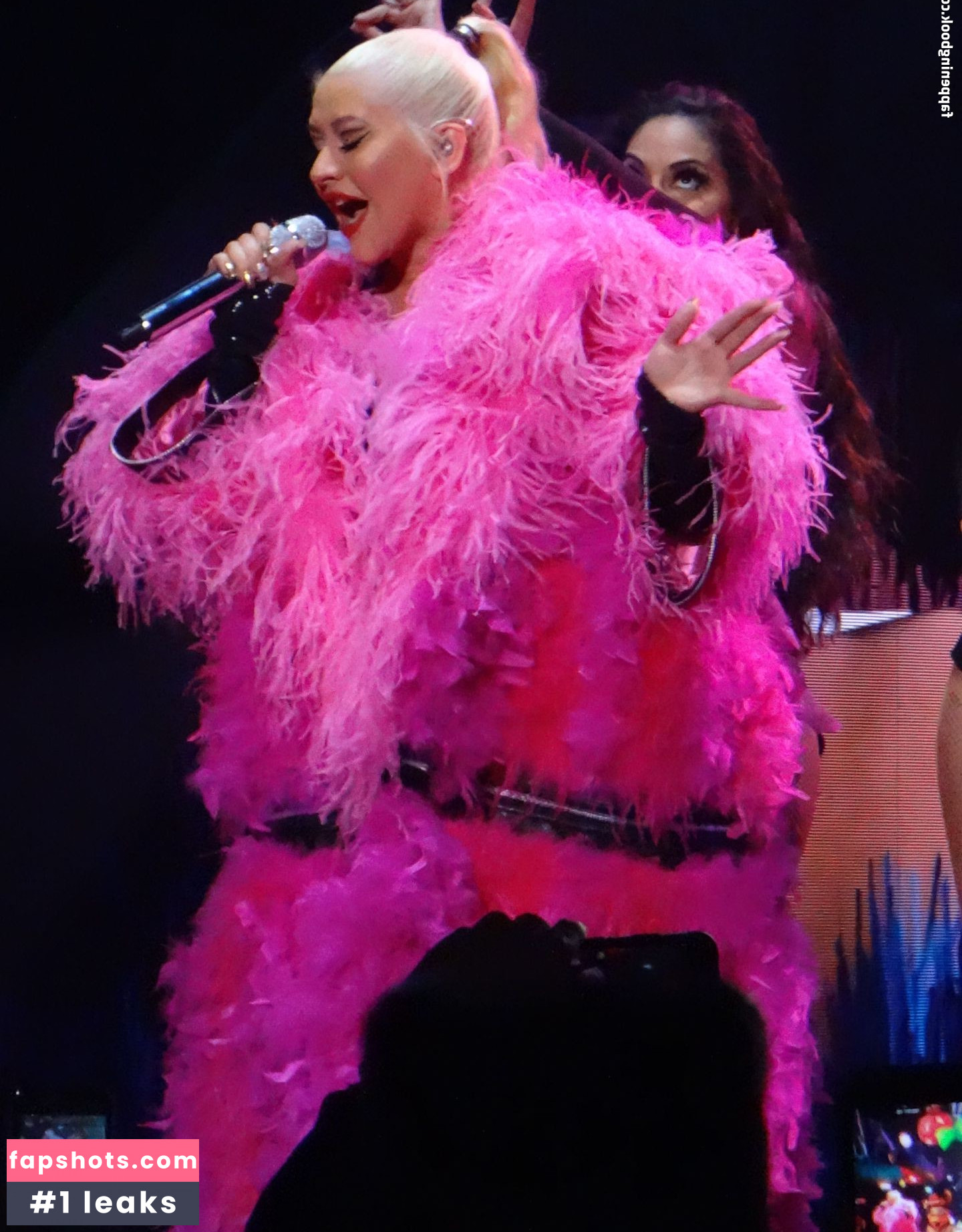 Christina Aguilera Nude Leaks OnlyFans Photos #2183 - LeakJerk