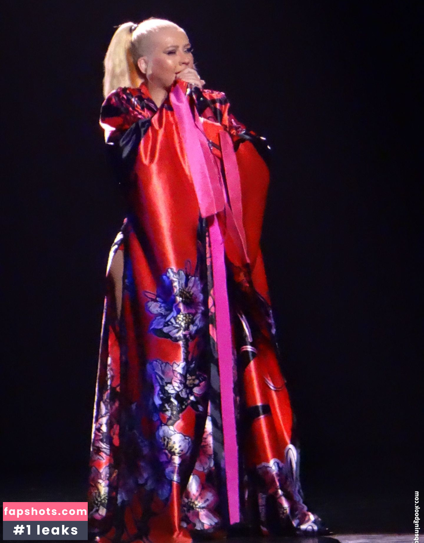 Christina Aguilera Nude Leaks OnlyFans Photos #2199 - LeakJerk