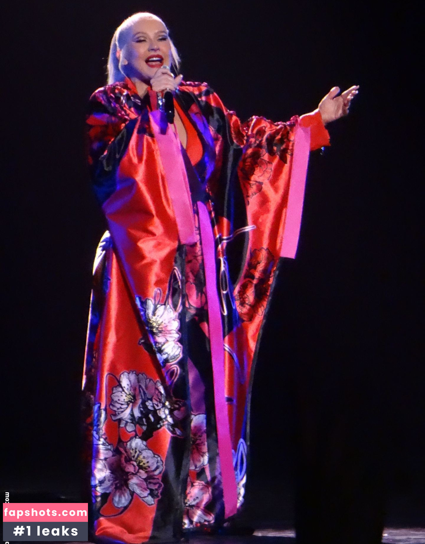 Christina Aguilera Nude Leaks OnlyFans Photos #2200 - LeakJerk