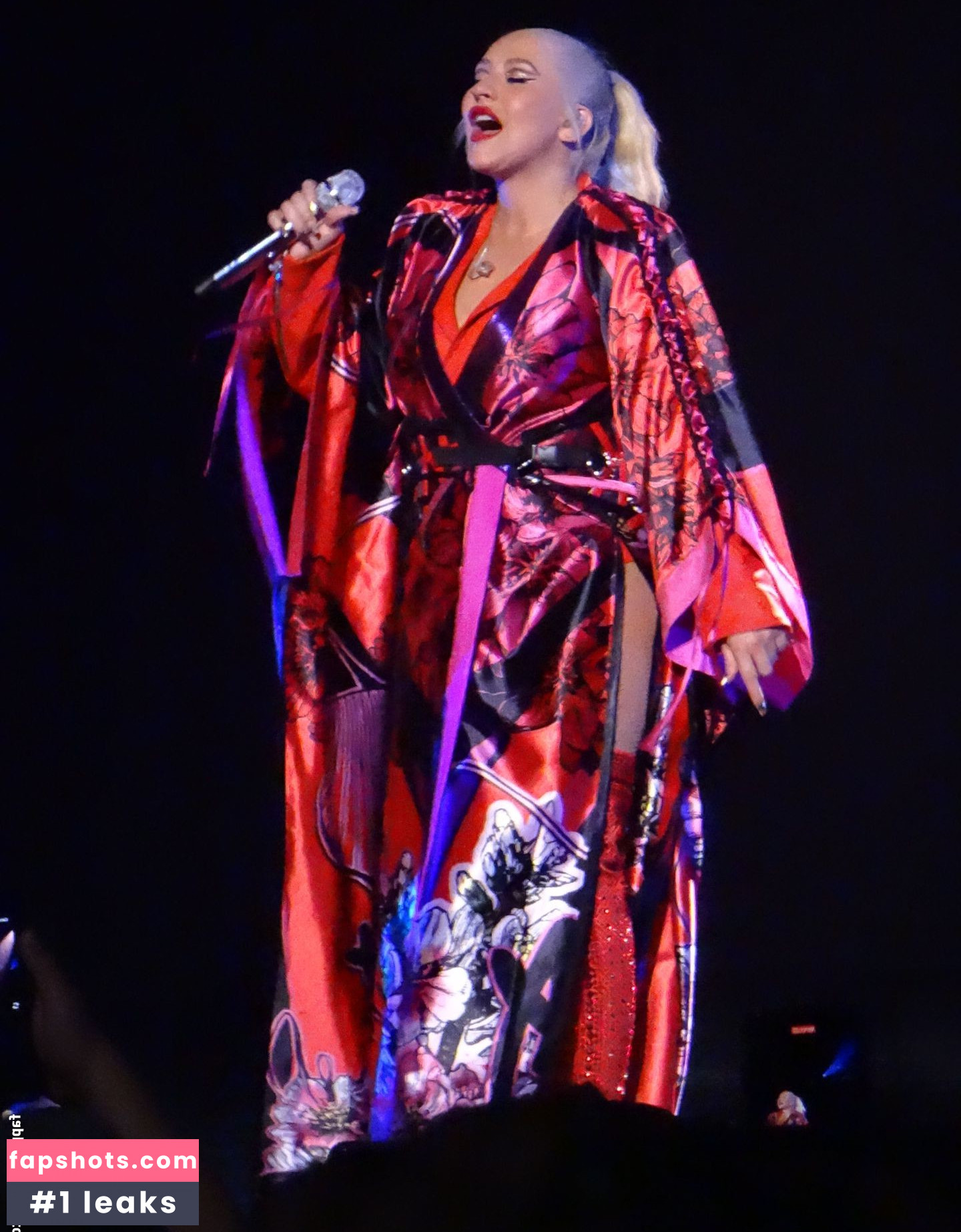 Christina Aguilera Nude Leaks OnlyFans Photos #2201 - LeakJerk