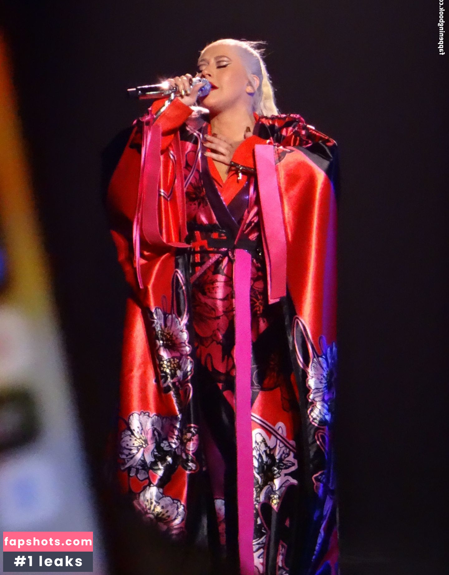 Christina Aguilera Nude Leaks OnlyFans Photos #2202 - LeakJerk