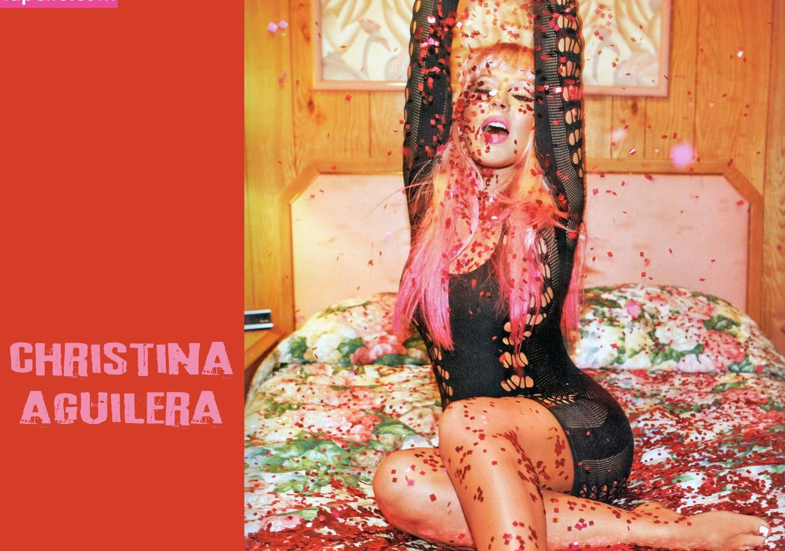 christina-aguilera gallery photo #1187