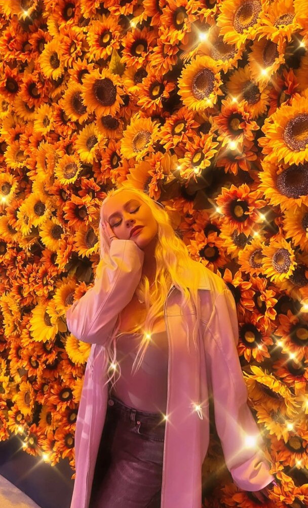 christina-aguilera Nude Leaks OnlyFans Photos #2149 - LeakJerk