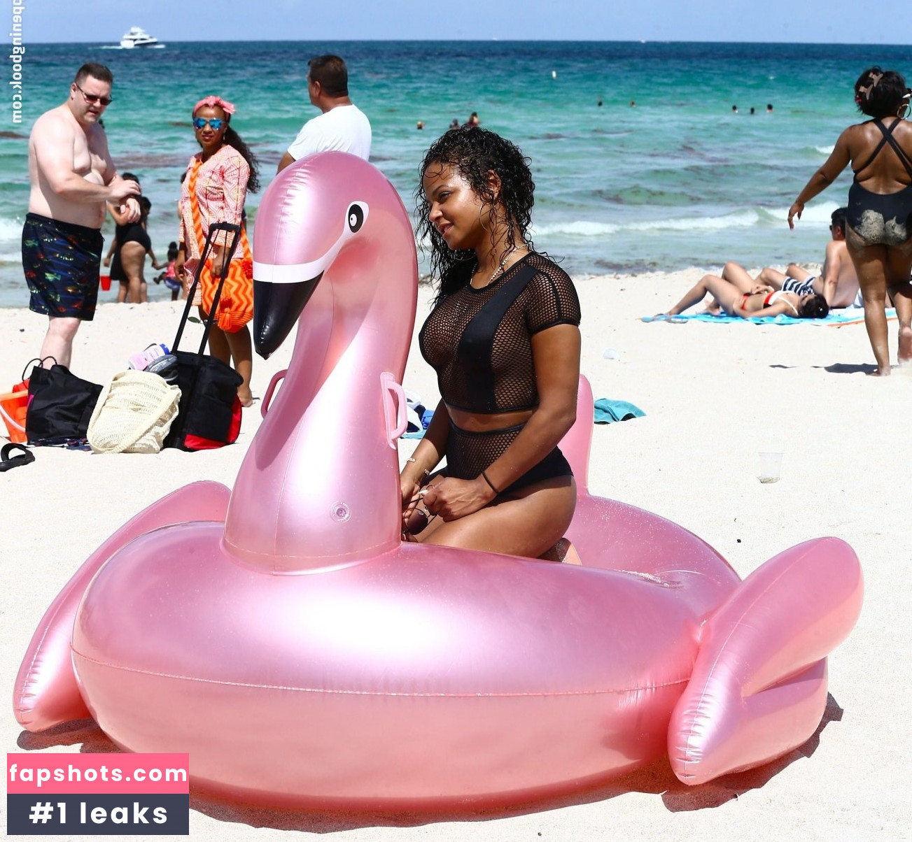 Christina Milian Nude Leaks OnlyFans Photos #921 - LeakJerk