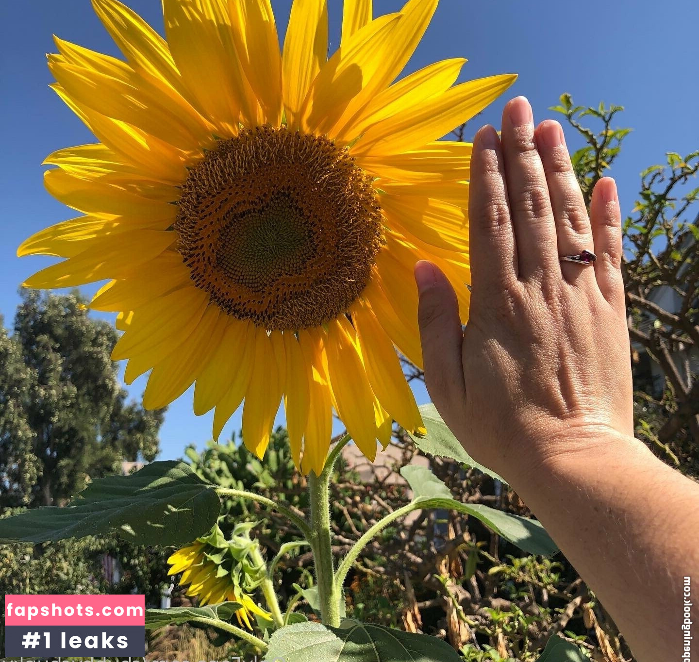 chubbychunky gallery photo #21