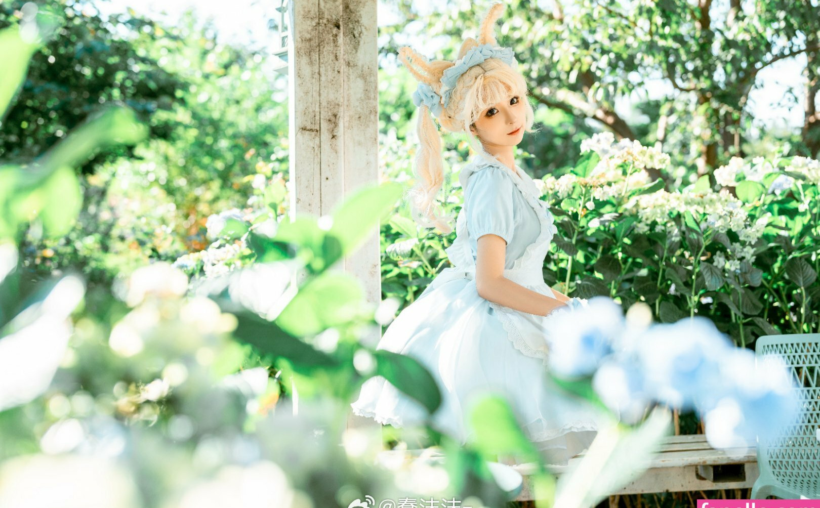 chunmomo gallery photo #1416