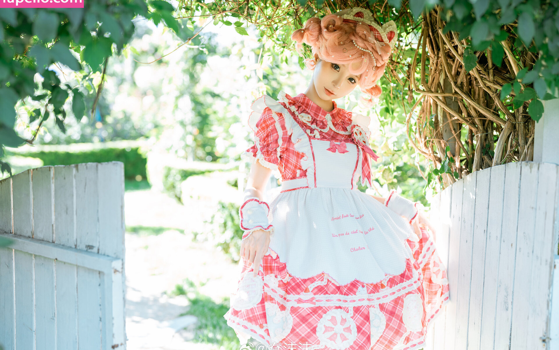 chunmomo gallery photo #1578