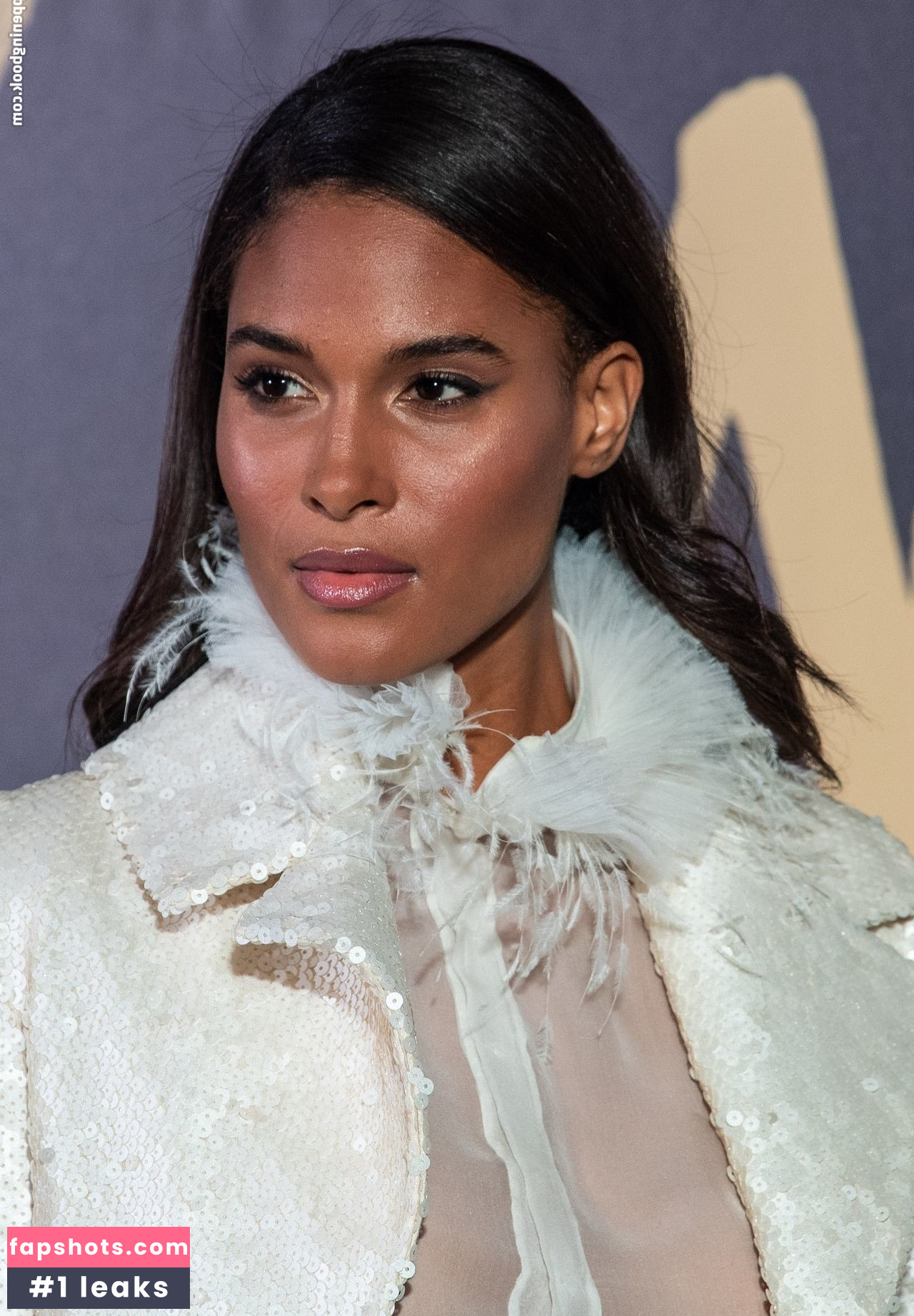 Cindy Bruna gallery photo #433