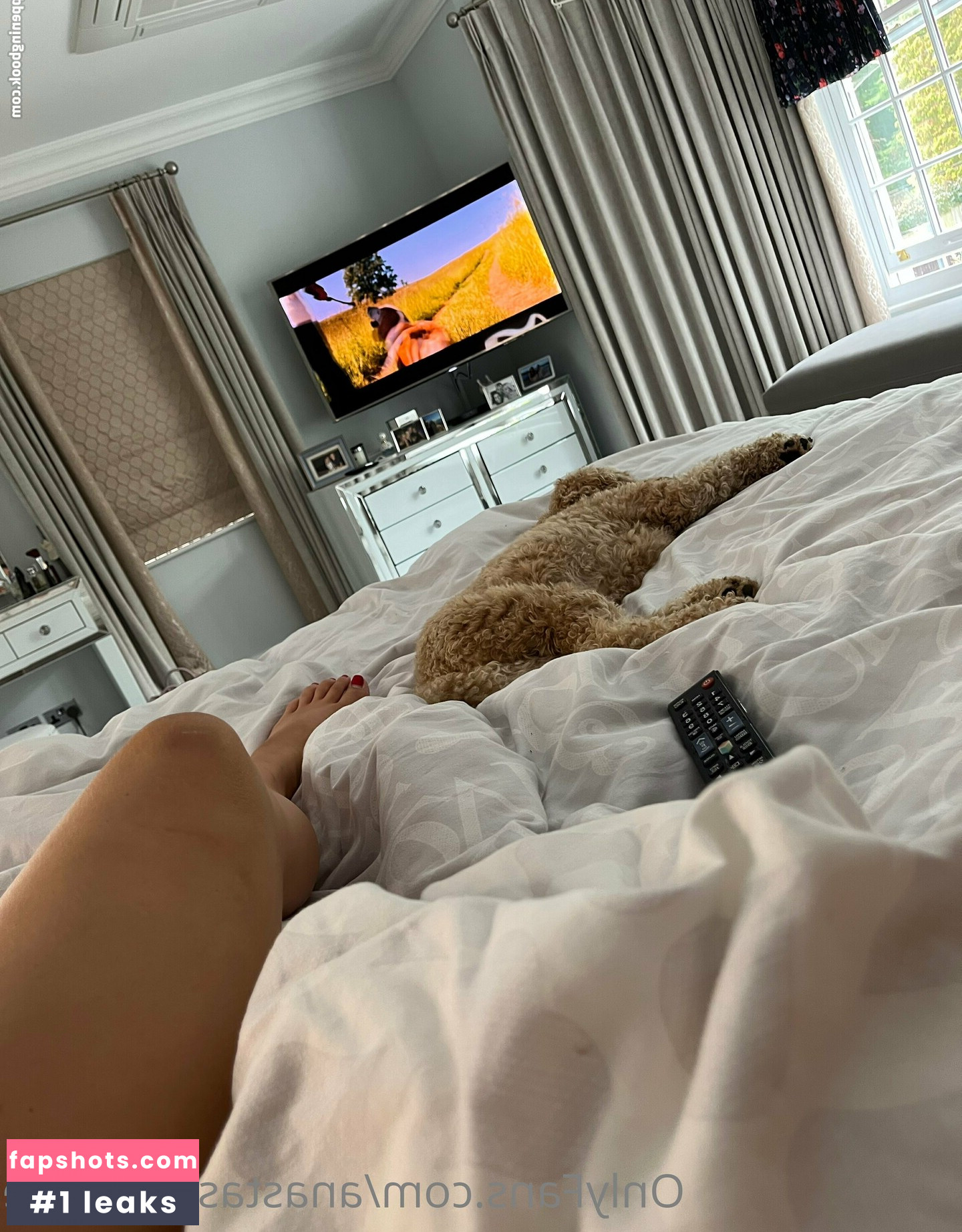 cleaningana gallery photo #17