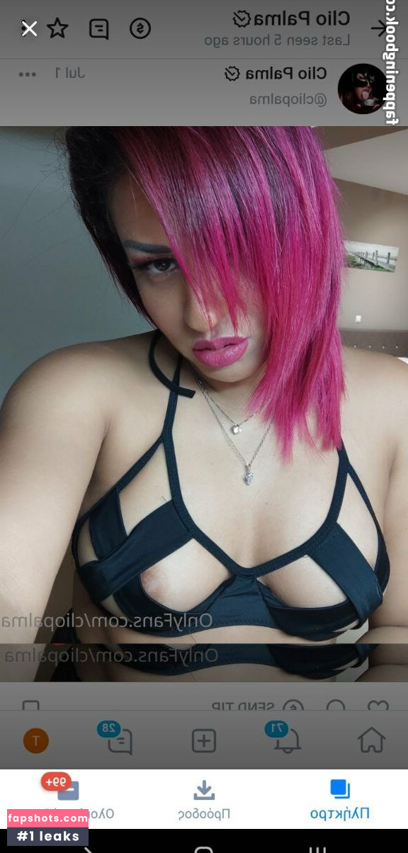 ClioPalma gallery photo #4