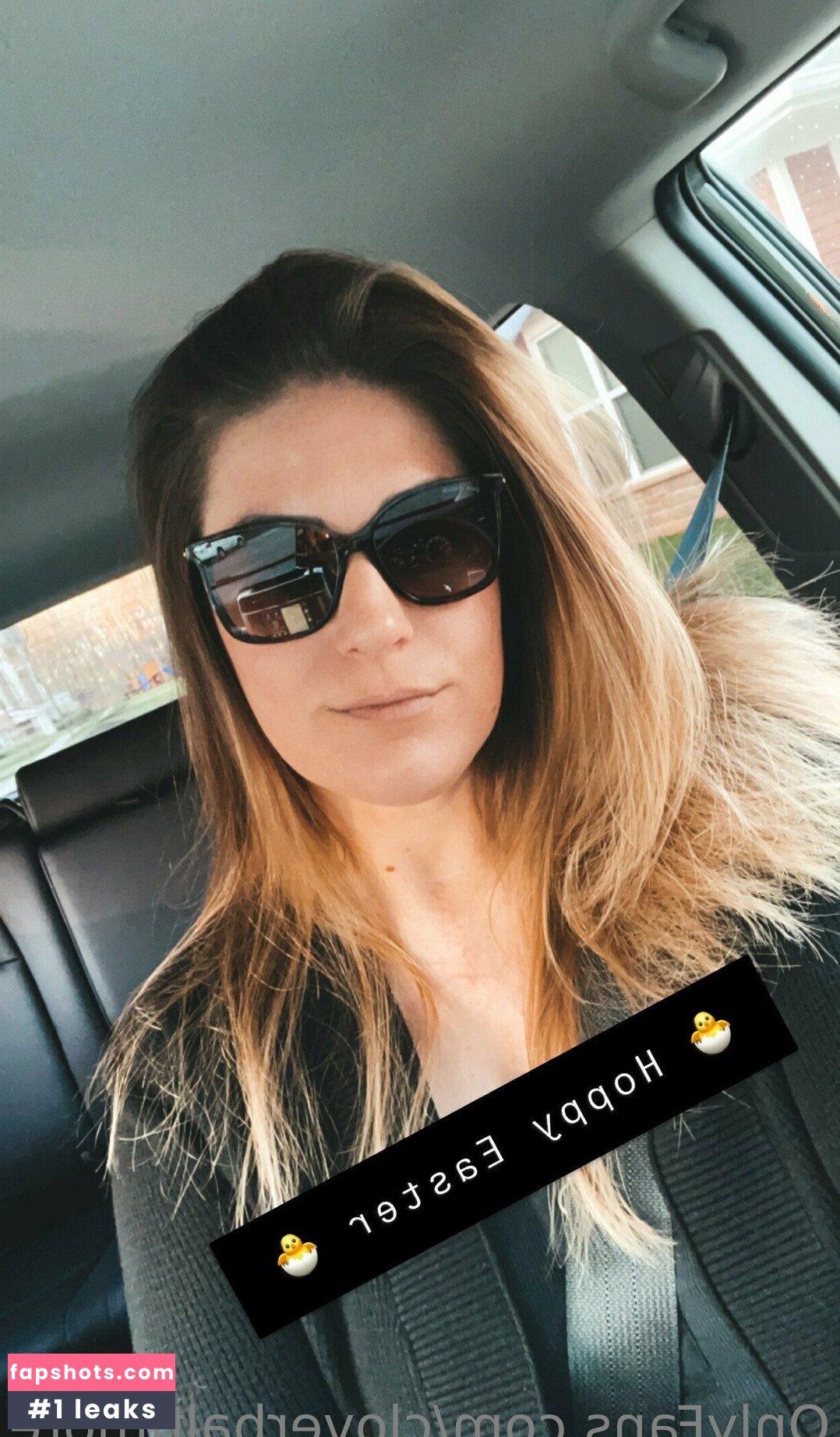 cloverbaltimore gallery photo #117